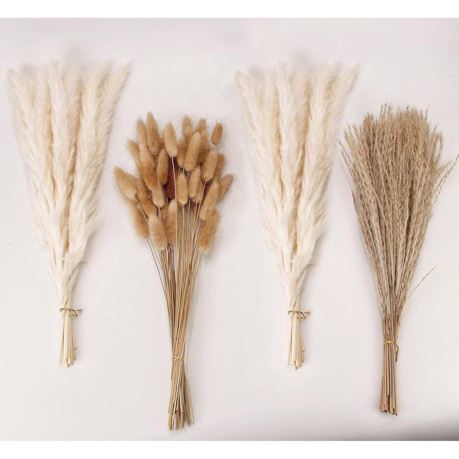 Drei Bündel getrockneter Gräser auf weißem Hintergrund, die sich in Textur und Farbe unterscheiden: flauschig weiß, beige-bräunlich und dünne braune Stängel.
