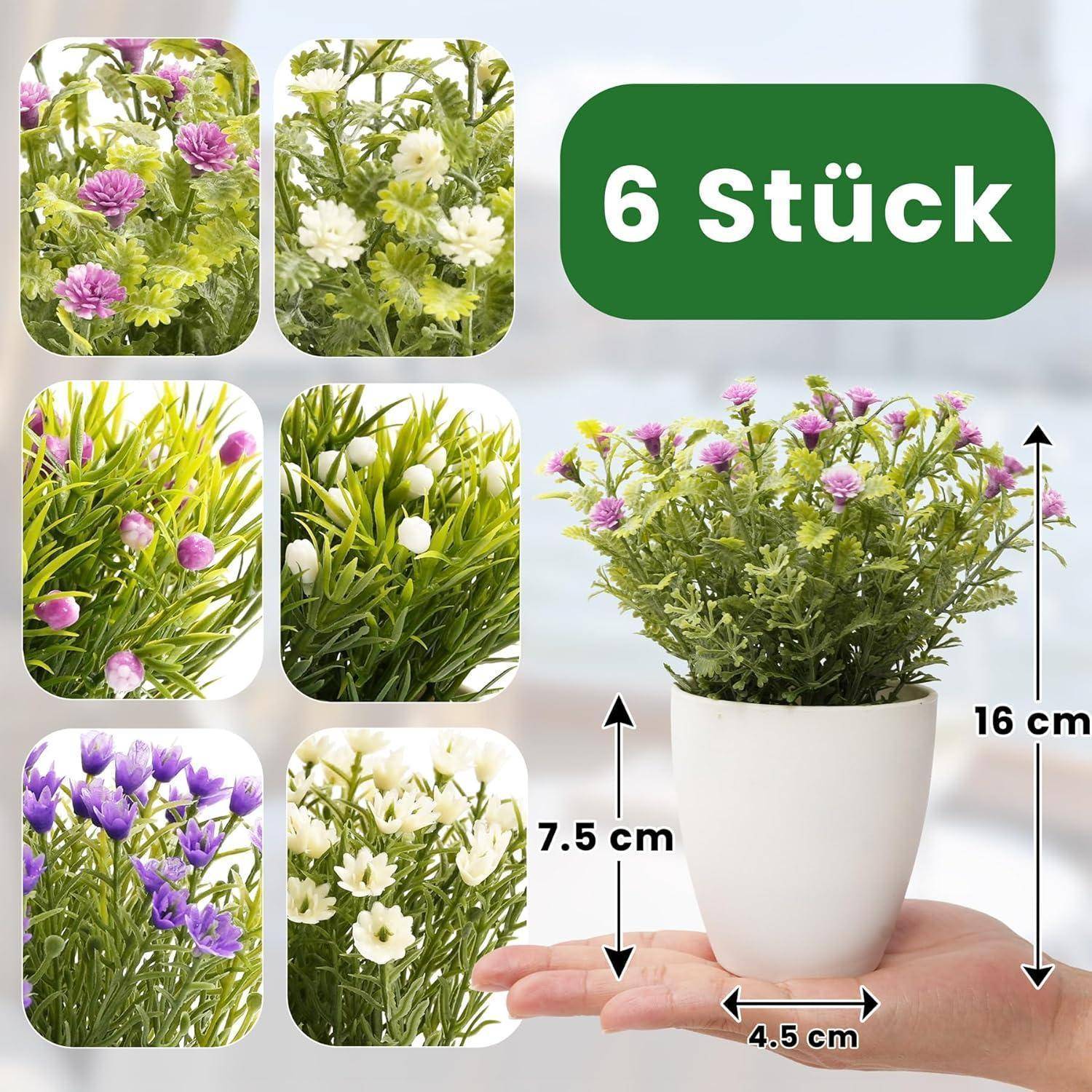 Eine Hand hält eine Topfpflanze mit lila und weißen Blüten. Text lautet 