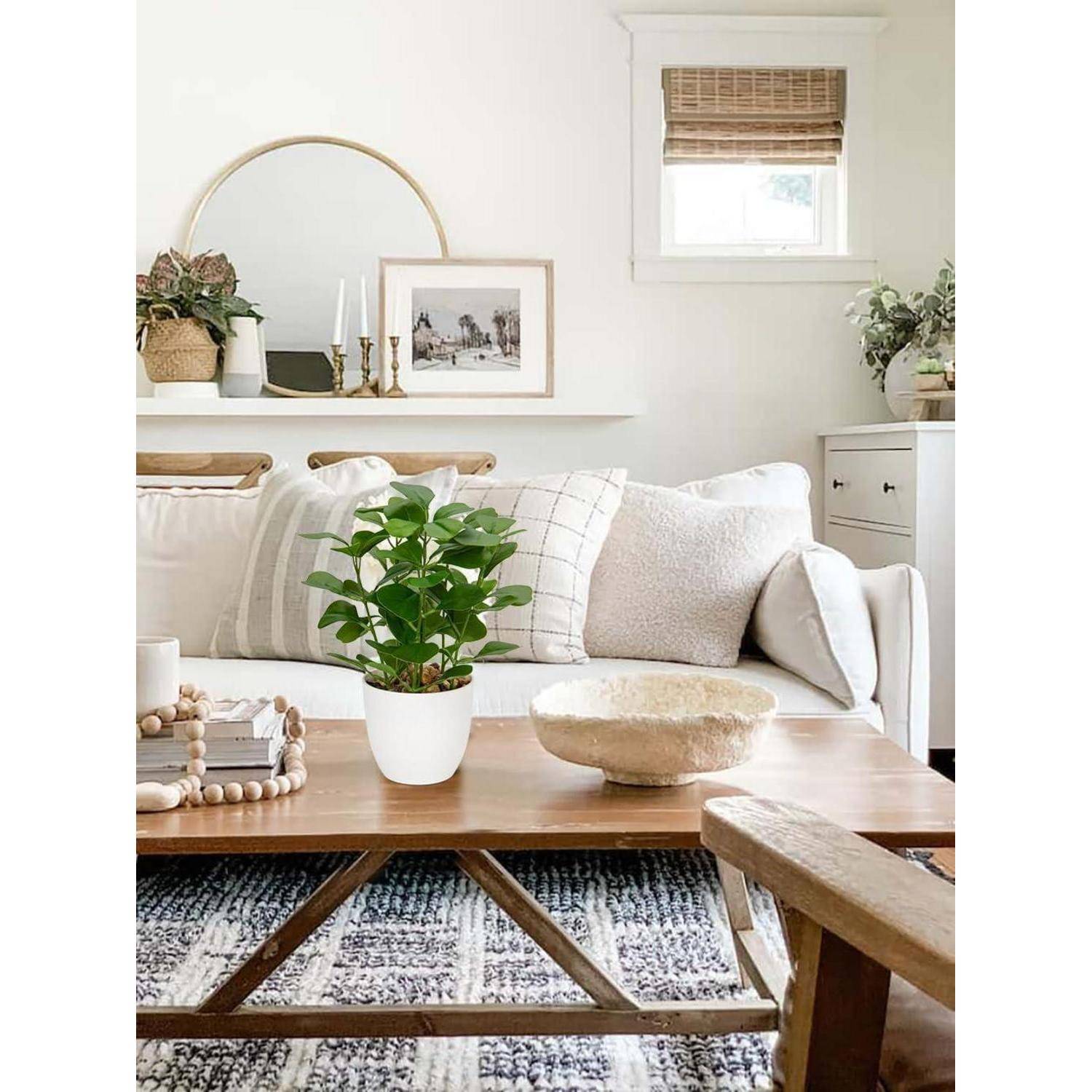 Ein gemütliches Wohnzimmer mit einem weißen Sofa, neutralen Kissen, einem Holzcouchtisch mit einer Topfpflanze und einer Wandkunst neben einem runden Spiegel.