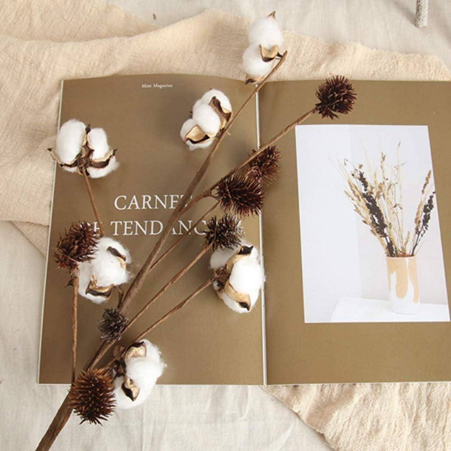 Eine aufgeschlagene Zeitschrift zeigt eine Seite mit dem Titel 'Carnet de tendances' und ein Foto einer Vase mit getrockneten Blumen, umgeben von Baumwollzweigen.