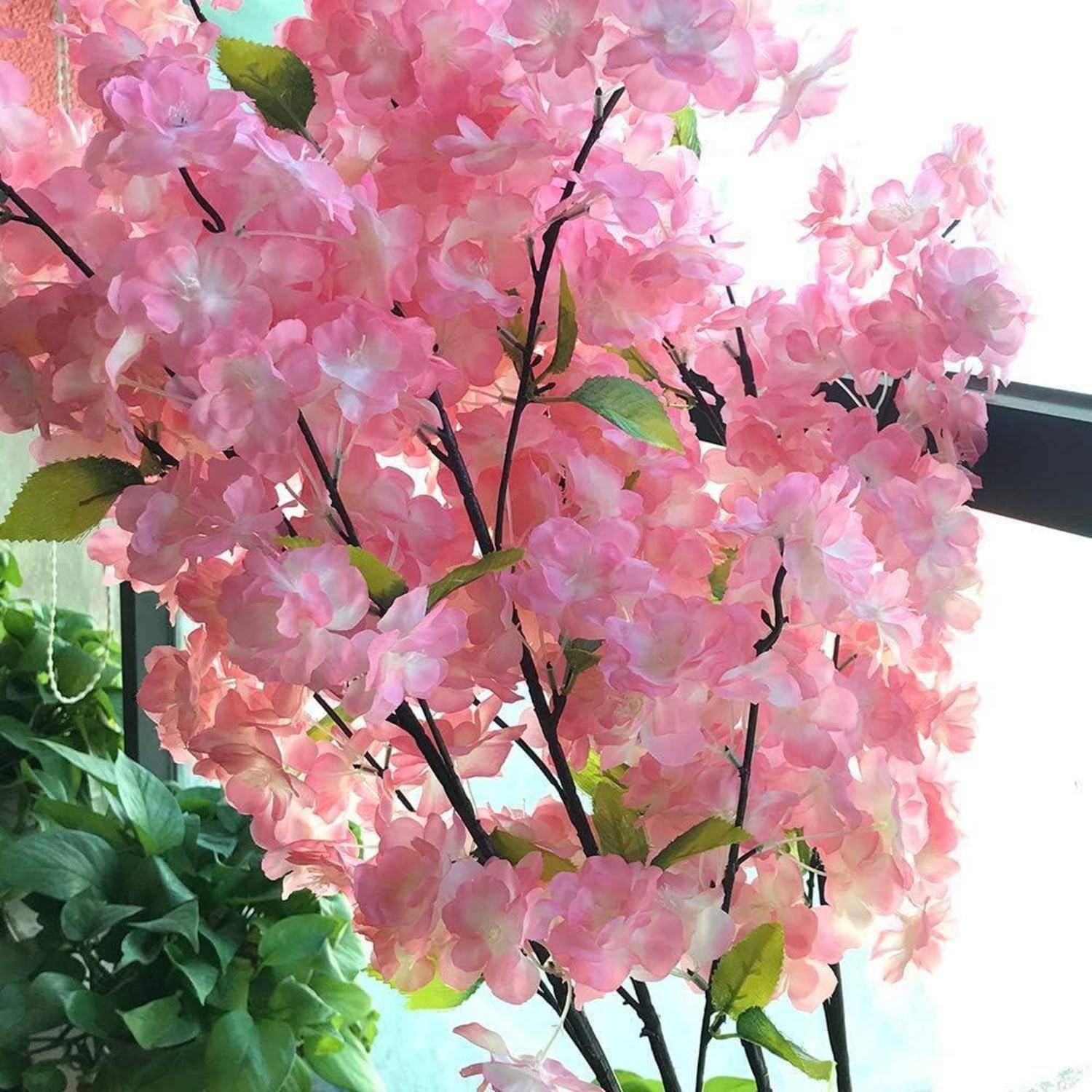 Ein Zweig leuchtend rosa Kirschblüten in voller Blüte vor einem hellen Hintergrund, wobei grüne Blätter für Kontrast sorgen.