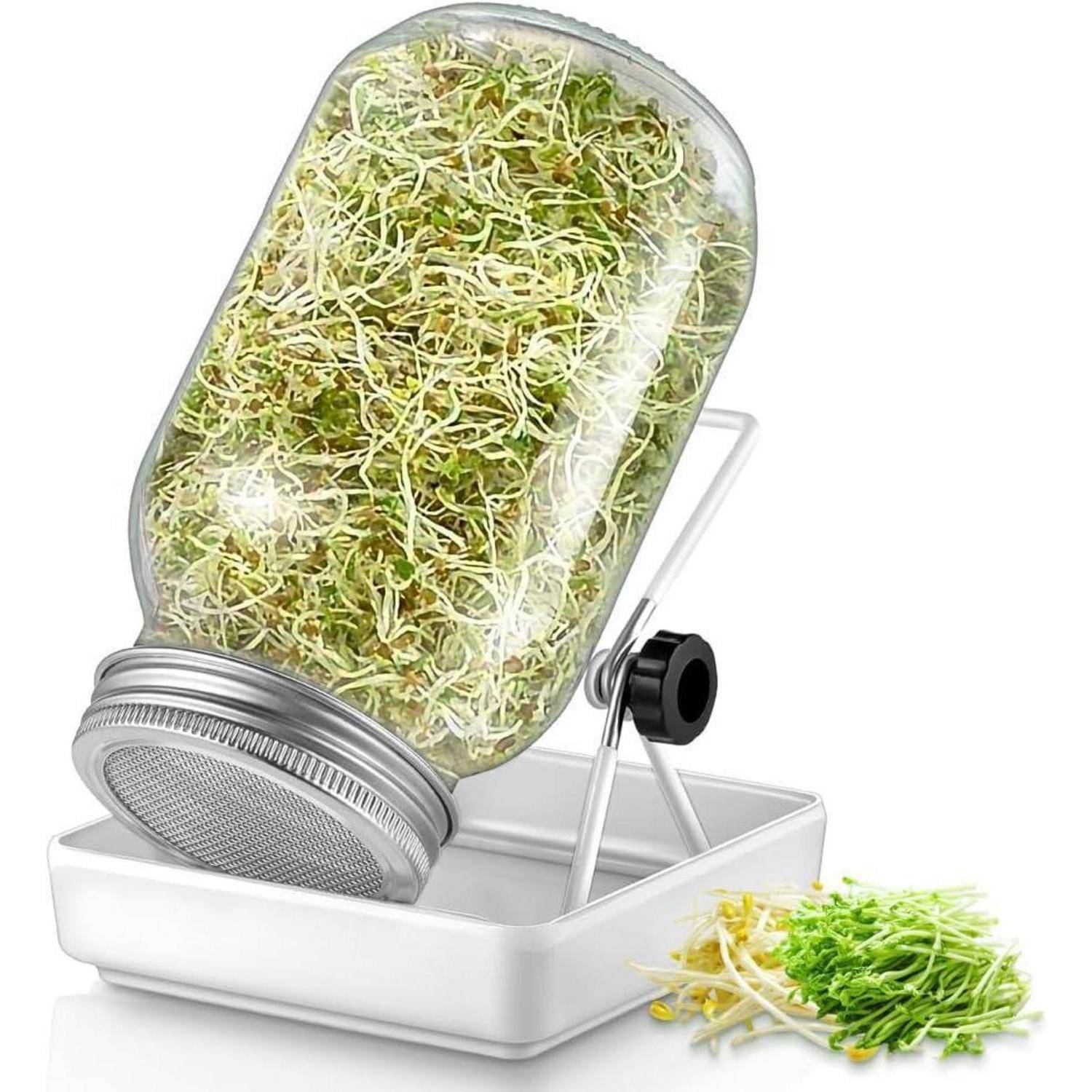 Ein Glasgefäß gefüllt mit grünen Sprossen steht auf einem weißen Ständer mit einem Auffangbehälter darunter. Ein kleiner Haufen Sprossen liegt daneben.
