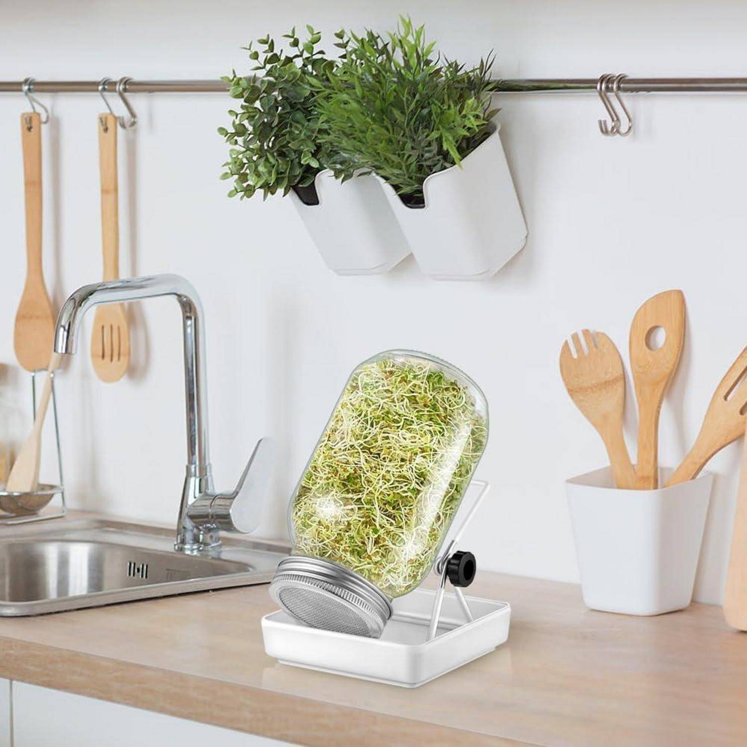 Sprossenglas mit grünen Sprossen auf einer Küchenarbeitsplatte neben einem Waschbecken. Darüber hängen weiße Kräutertöpfe und Holzutensilien.