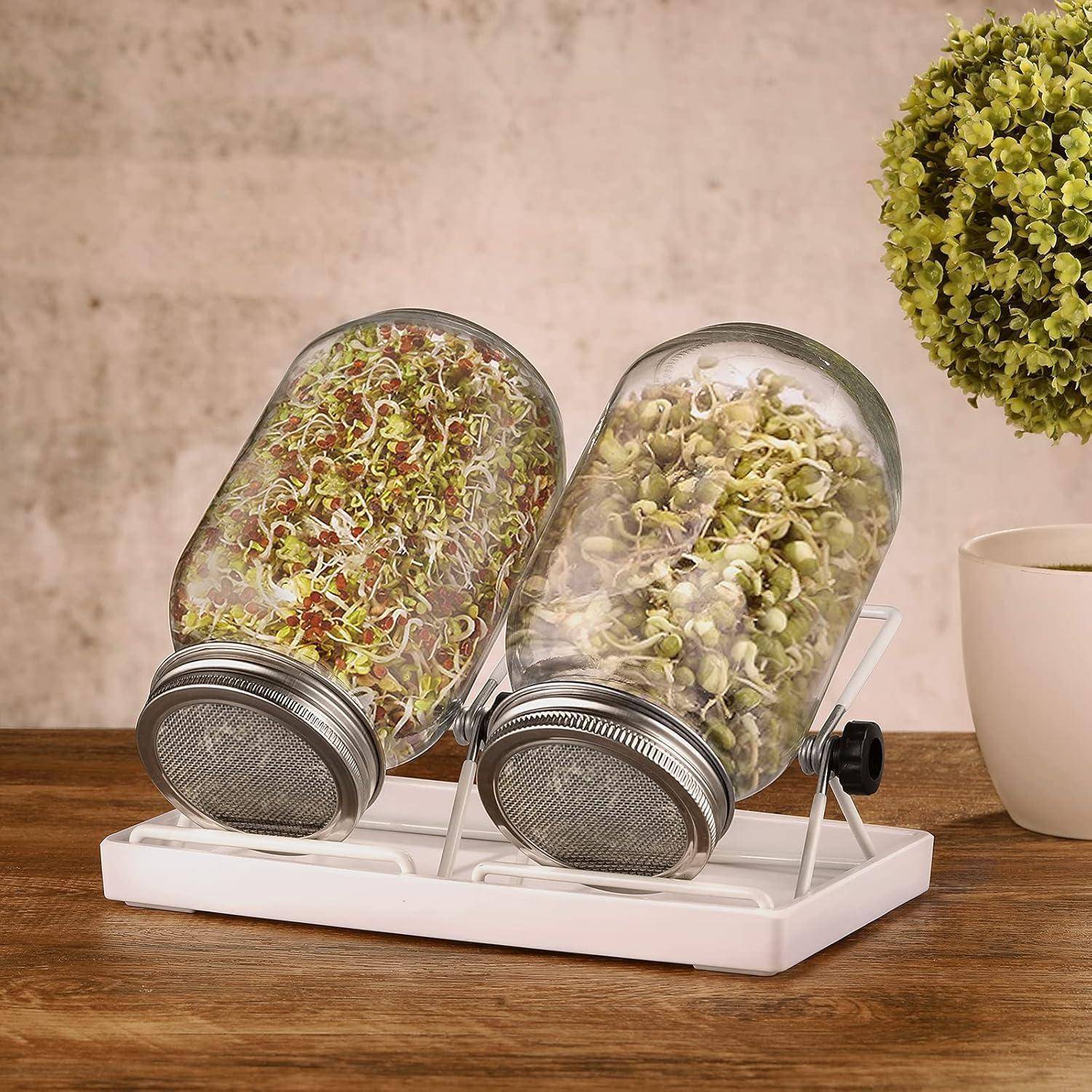 Sprossen Keimglas 2er Set Sprouting Jar 750ml Edelstahl Ständer