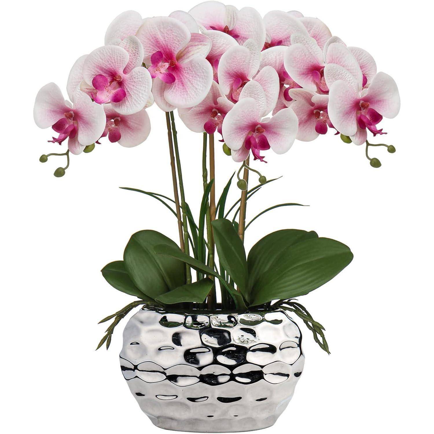 Rosa und weiße Orchideen in voller Blüte, in einer reflektierenden silbernen Vase angeordnet, mit grünen Blättern, die die Anordnung akzentuieren.