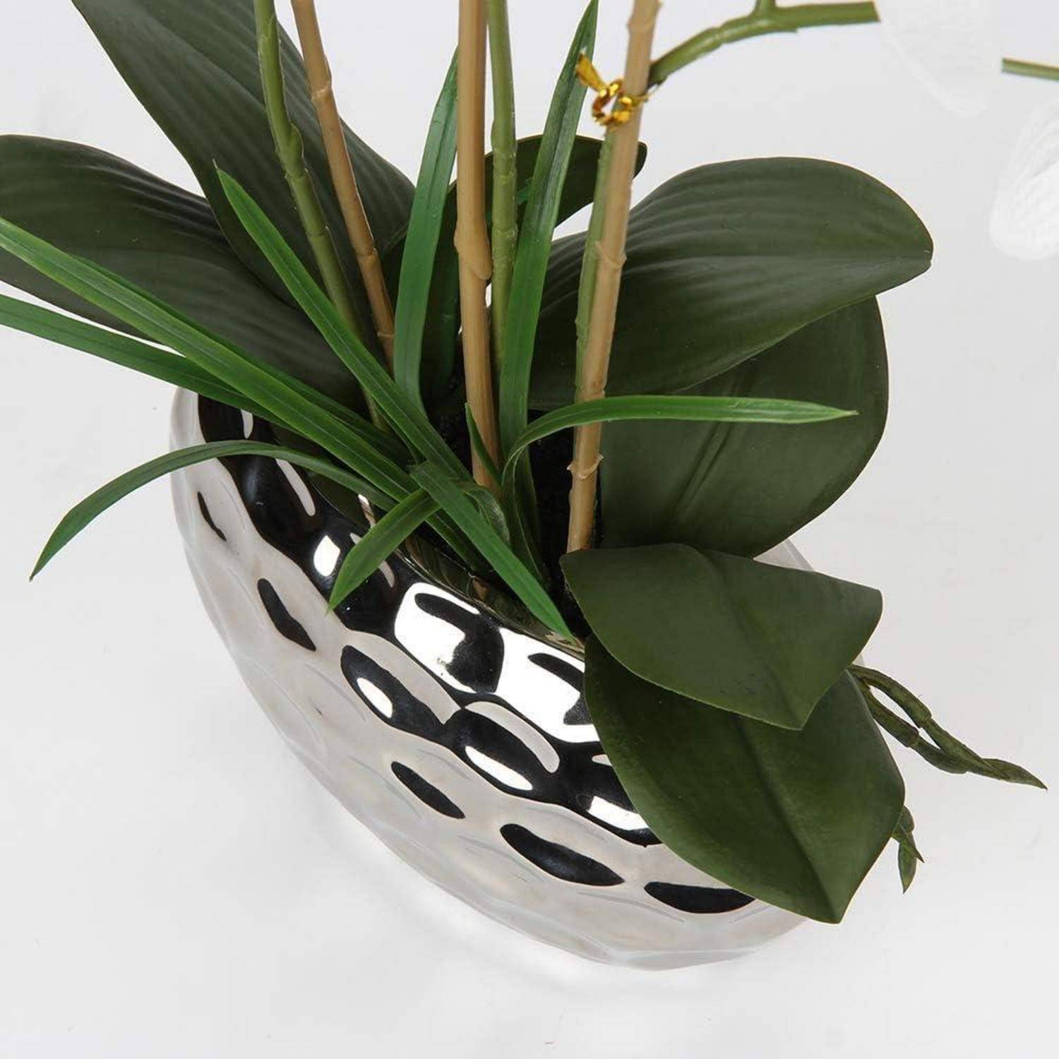 Eine metallische ovale Vase, die grüne Blätter und Stängel einer Pflanze enthält, mit einer strukturierten Oberfläche, die das Licht reflektiert.