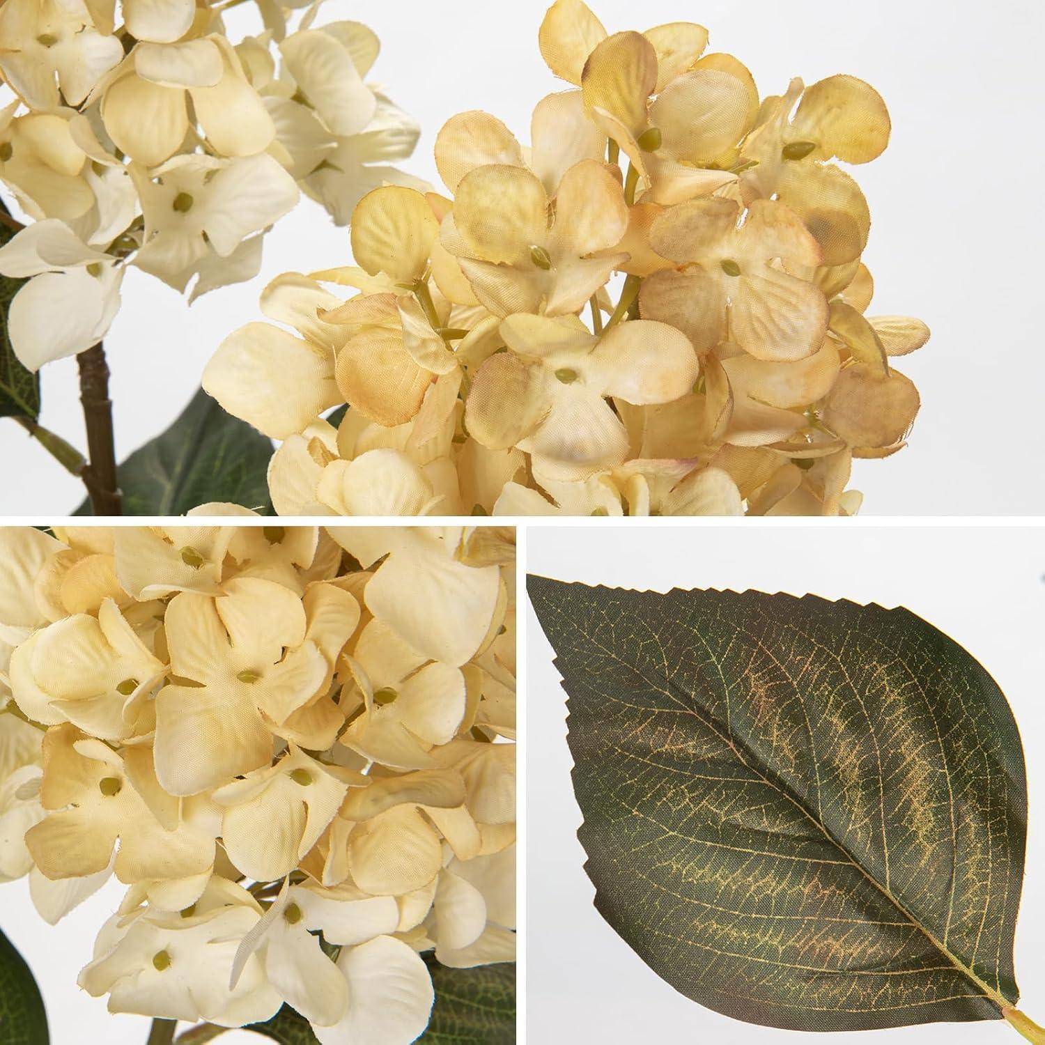 Weiße und blassgelbe Hortensienblüten mit einer Nahaufnahme eines grünen Blattes, das detaillierte Adern und Textur zeigt.