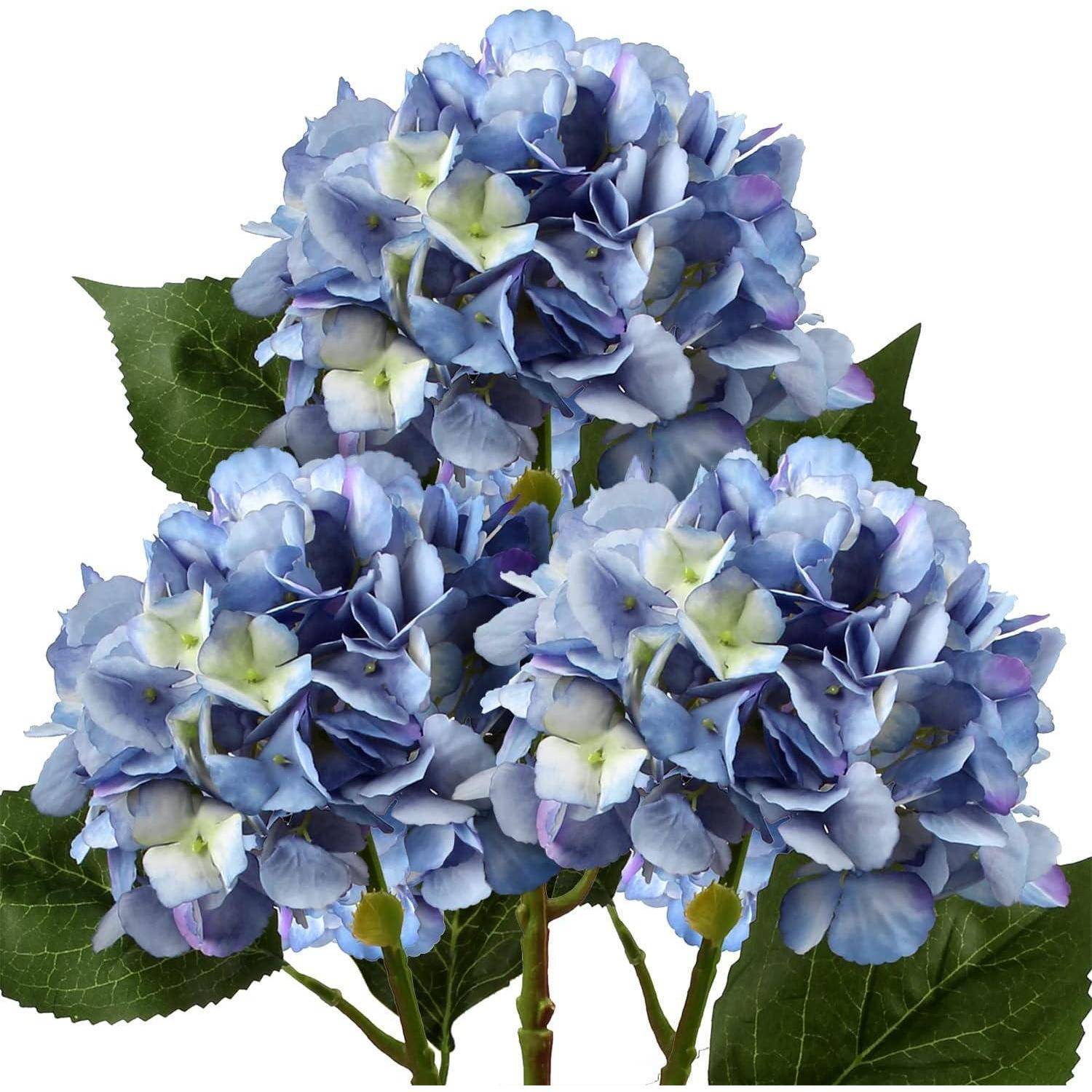 Blaue Hortensienblüten mit grünen Blättern, die eine Mischung aus Purpur- und Hellgrüntönen in einer üppigen, lebendigen Blumenkomposition zeigen.