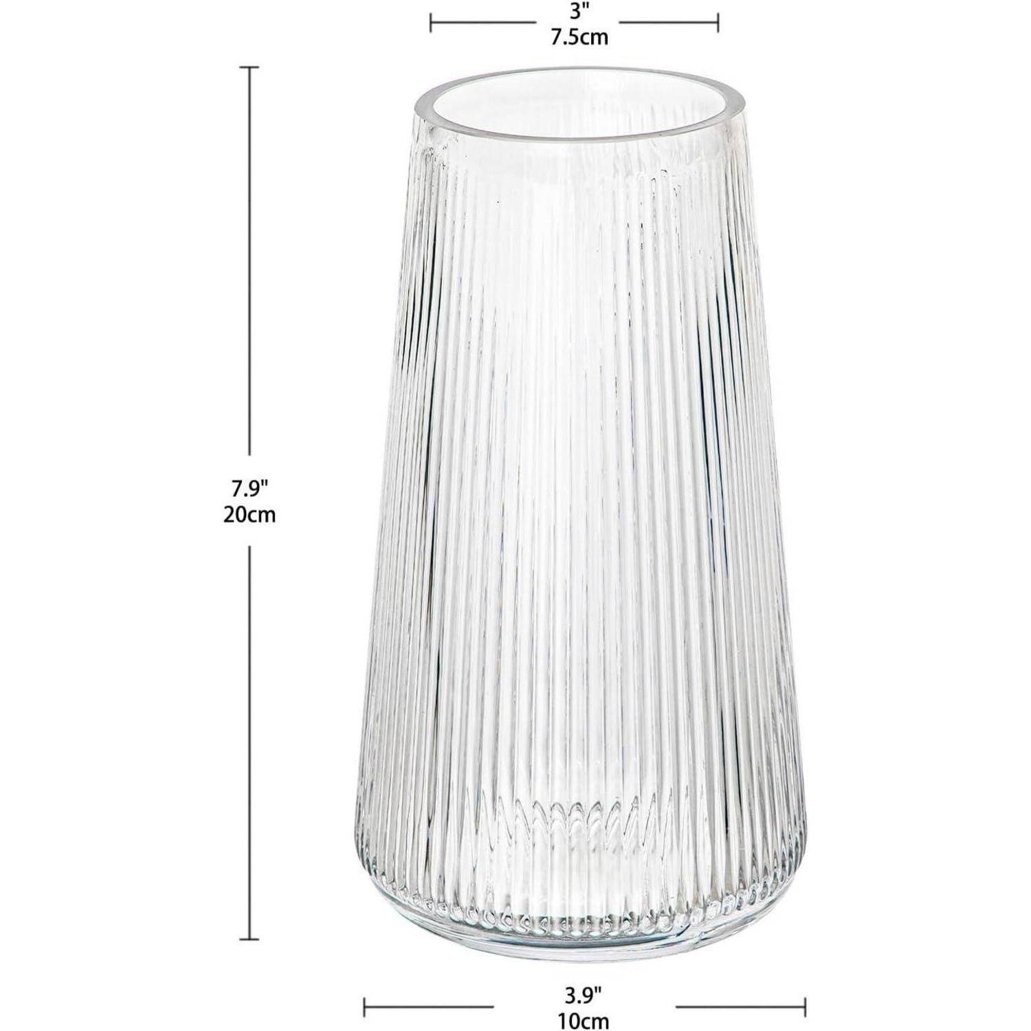 Eine transparente Glasvase mit vertikalen Rillen, 7,9 Zoll (20 cm) hoch, 3 Zoll (7,5 cm) Durchmesser am oberen Ende und 3,9 Zoll (10 cm) Durchmesser am unteren Ende.