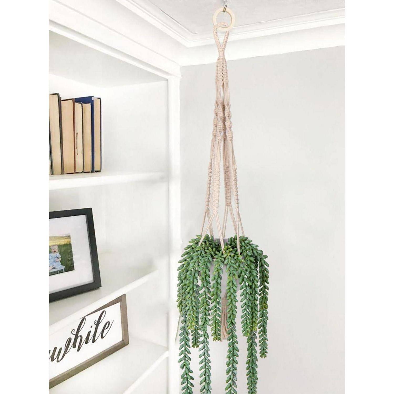 Ein Makramee-Blumenampel, die eine üppige, herunterhängende Sukkulente trägt, hängt in der Nähe einer weißen Wand und eines Bücherregals und bringt einen Hauch von Grün ins Innere.