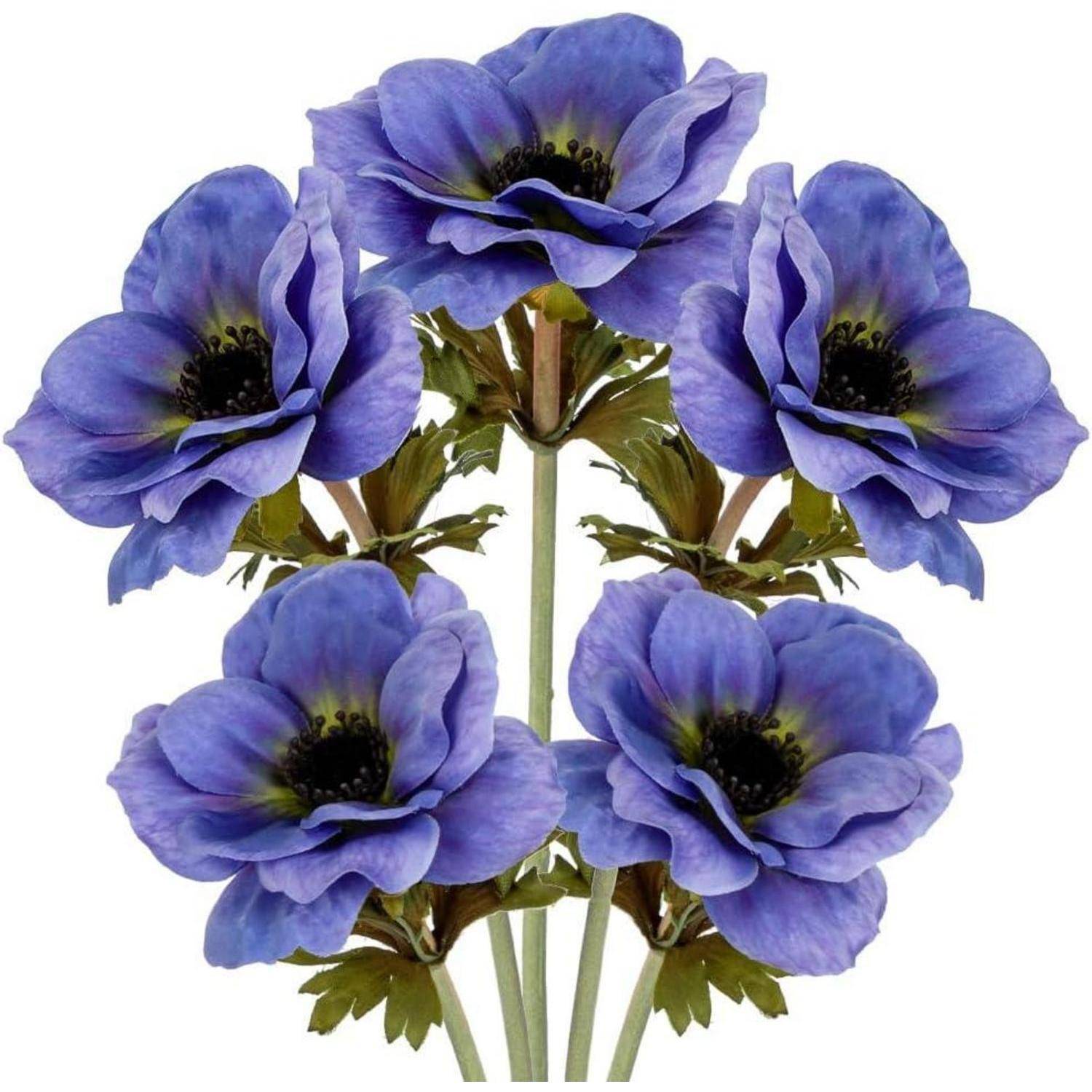 Ein Blumenstrauß aus sechs leuchtend lila Anemonen mit dunklen Zentren und grünen Blättern, vor einem weißen Hintergrund.