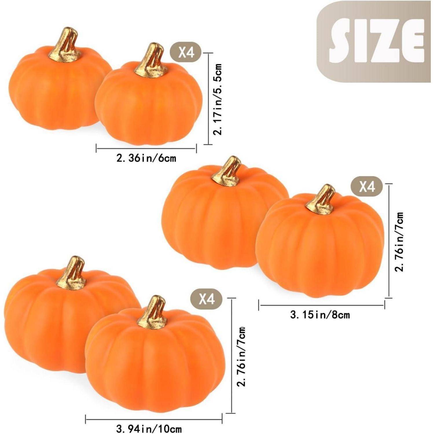 Bild zeigt verschiedene Größen von orangefarbenen Kürbissen mit goldenen Stielen. Der kleinste misst 2,36 Zoll/6 cm, und der größte ist 3,94 Zoll/10 cm.