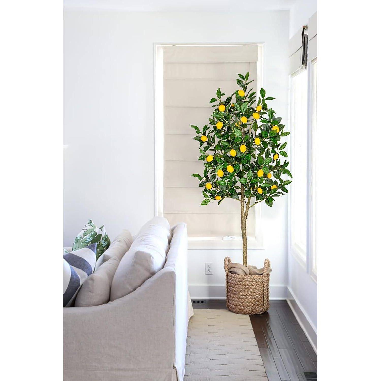Ein Zitronenbaum im Topf mit leuchtend gelben Zitronen steht in einer sonnendurchfluteten Ecke nahe einem Fenster, neben einem beigen Sofa in einem modernen Wohnzimmer.