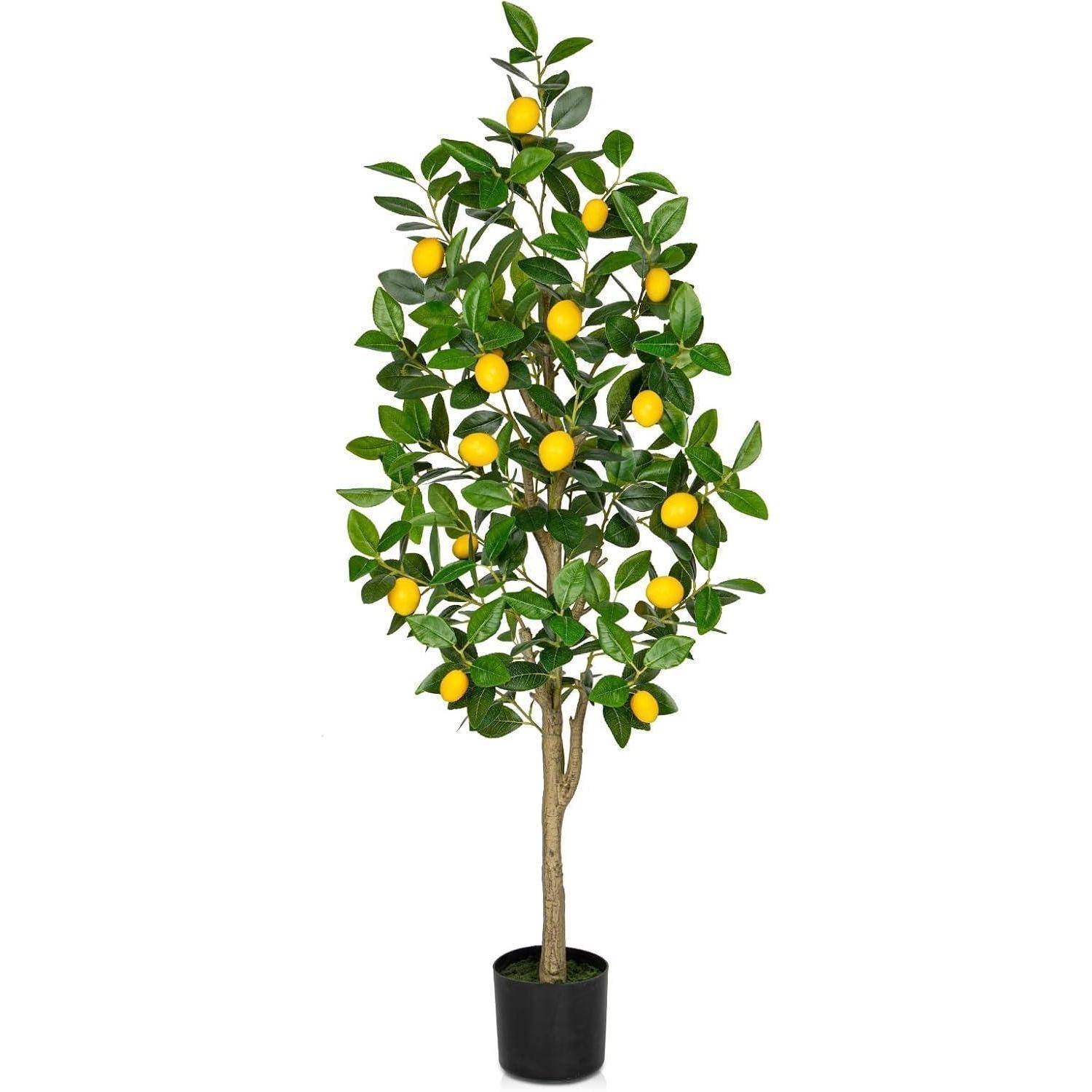 Ein hoher Zitronenbaum im Topf mit grünen Blättern und mehreren gelben Zitronen, der Fruchtreifung und Inneneinrichtung symbolisiert.
