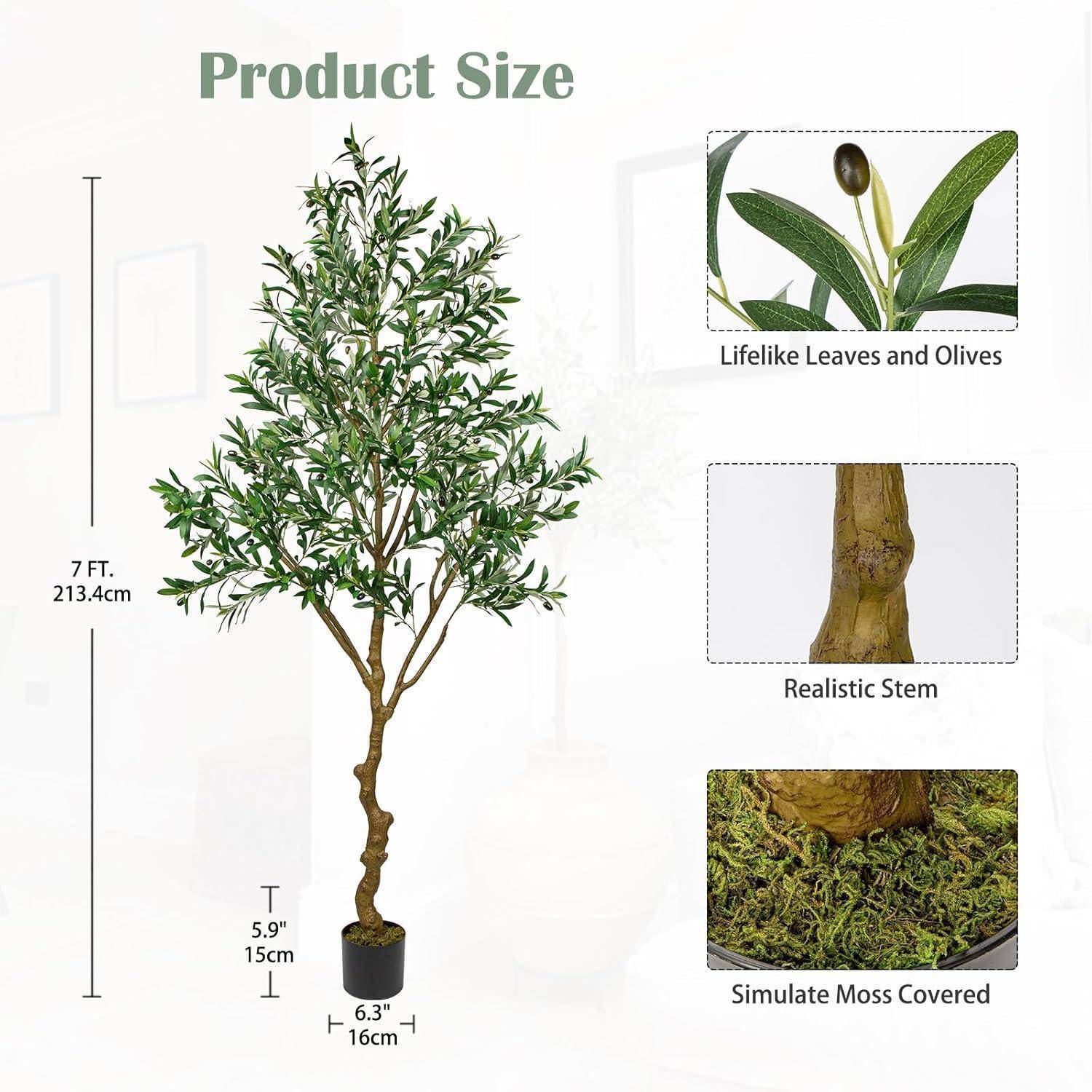 Ein 7 Fuß künstlicher Olivenbaum mit naturgetreuen Blättern und Oliven, realistischem Stamm und moosbedeckter Basis. Maße: 7 Fuß hoch, 6,3 Zoll breit.