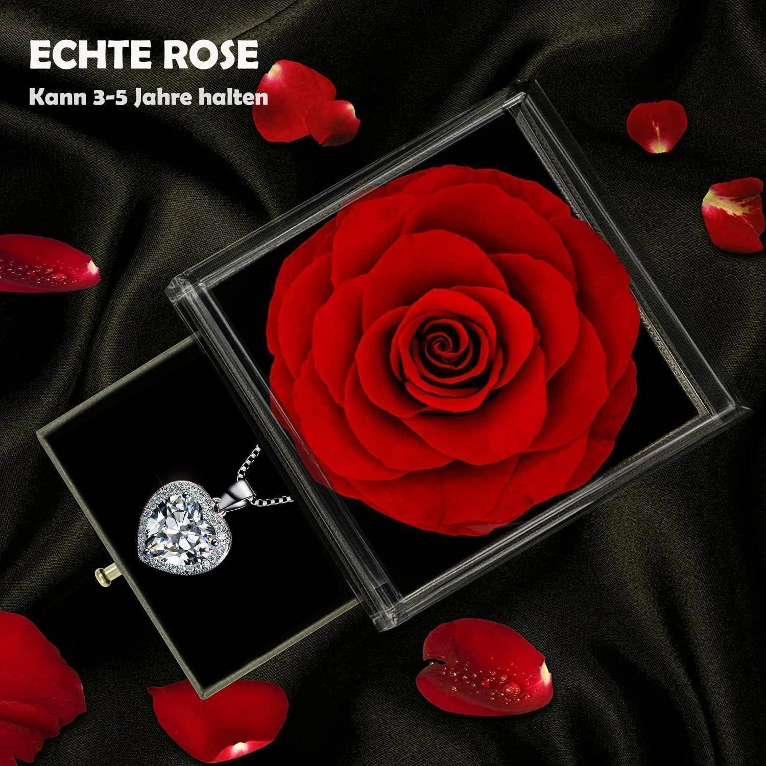 Eine konservierte rote Rose in einer durchsichtigen Box ruht auf schwarzem Stoff mit verstreuten Rosenblüten. Der Text lautet: 