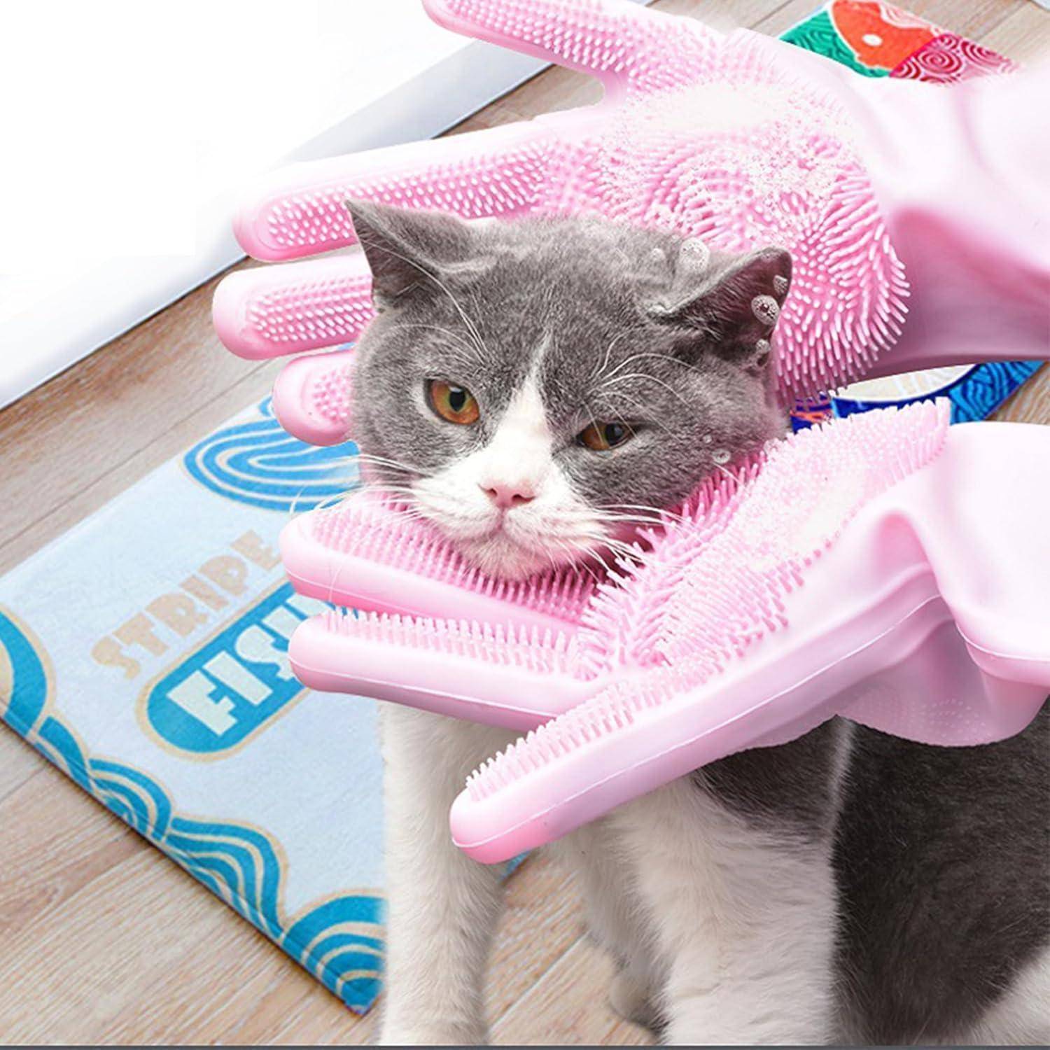 Eine Katze, die mit rosa Gummihandschuhen auf einem Holzboden in der Nähe einer blau-orangenen Matte gebürstet wird. Die Katze wirkt ruhig und zufrieden.