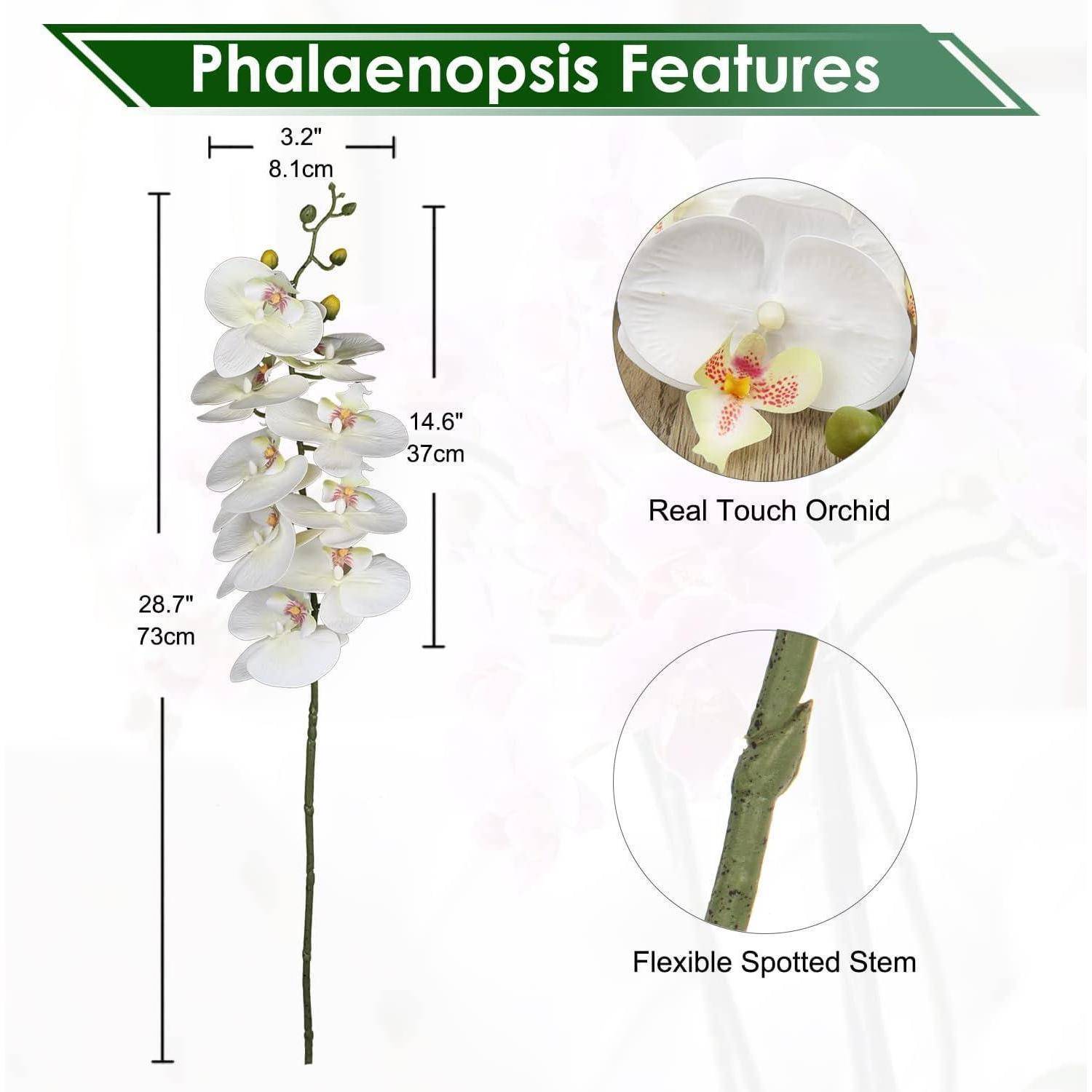 Kunstblume Orchideenzweig Phalenopsis 9 Blüten Beige 2 PCS