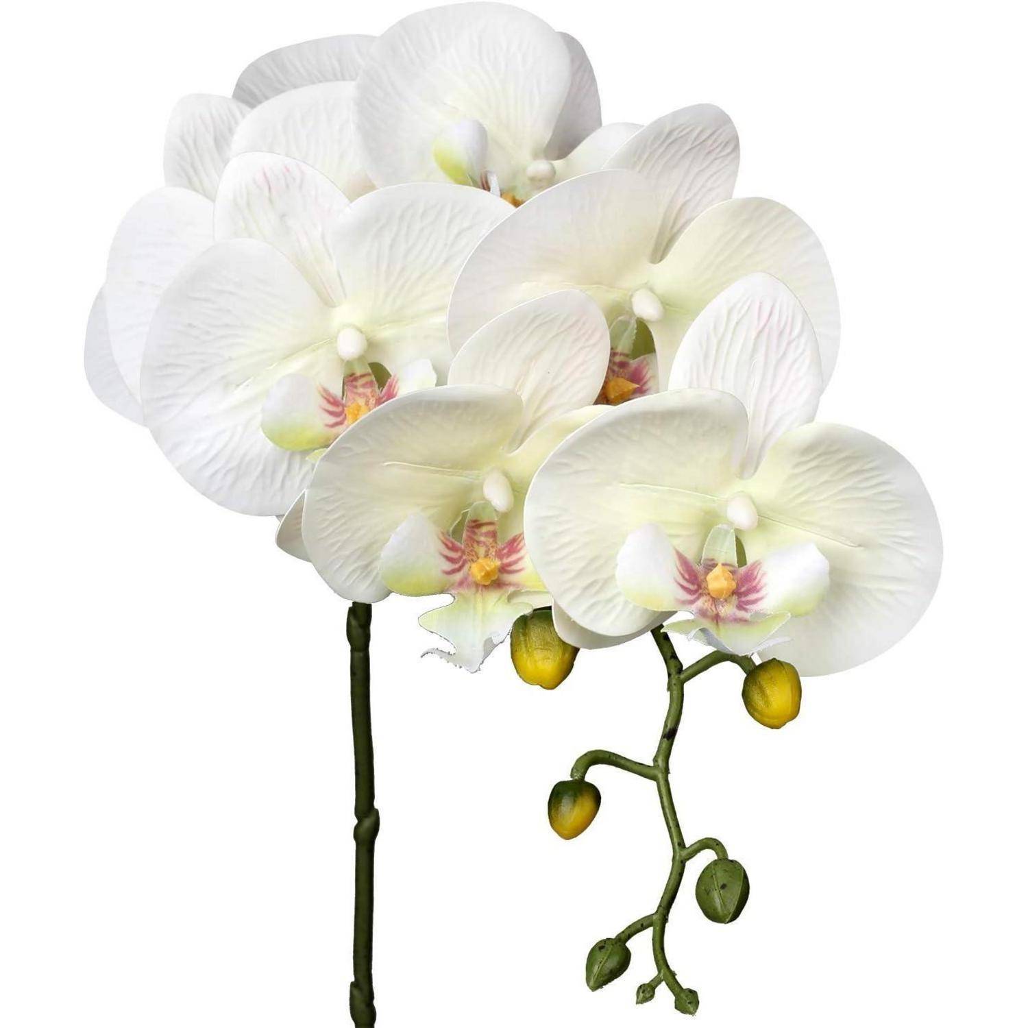 Kunstblume Orchideenzweig Phalenopsis 9 Blüten Beige 2 PCS