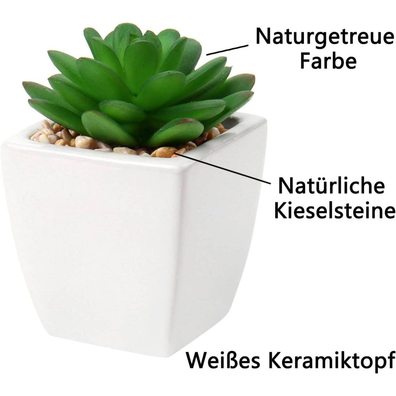 Eine kleine grüne künstliche Sukkulente in einem weißen Keramiktopf mit natürlichen Kieselsteinen. Text zeigt 'Natürliche Farbe' und 'Natürliche Kieselsteine'.
