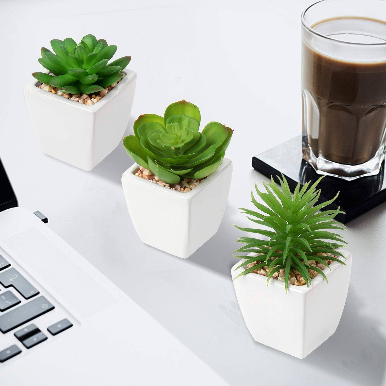 Drei kleine Sukkulenten in Töpfen und ein klares Glas Eiskaffee auf einem Schreibtisch neben einem Laptop.
