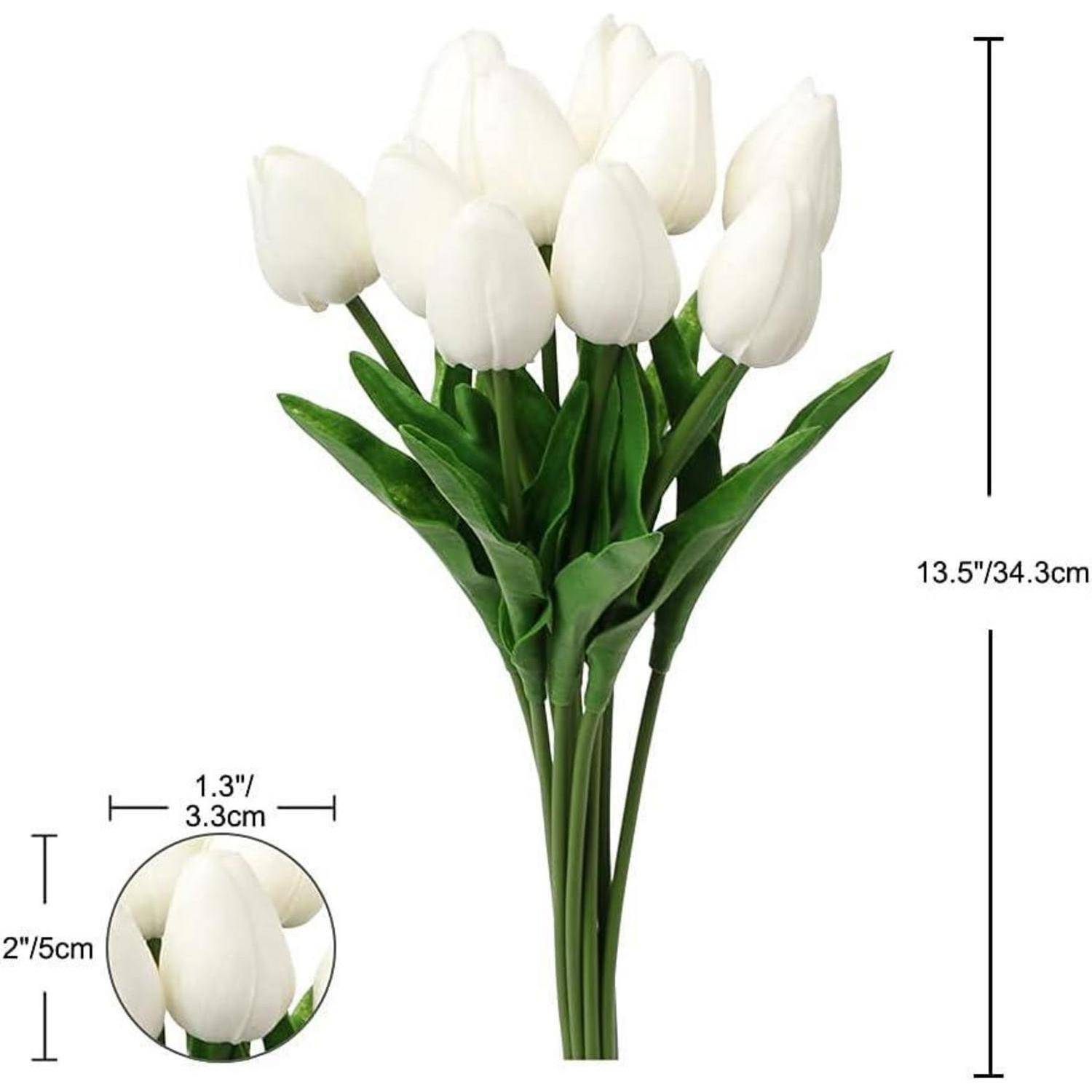 Ein Strauß weißer Tulpen mit grünen Stängeln. Die Tulpen sind 34,3 cm hoch, wobei der Blütenkopf jeder Blume 3,3 cm breit misst.