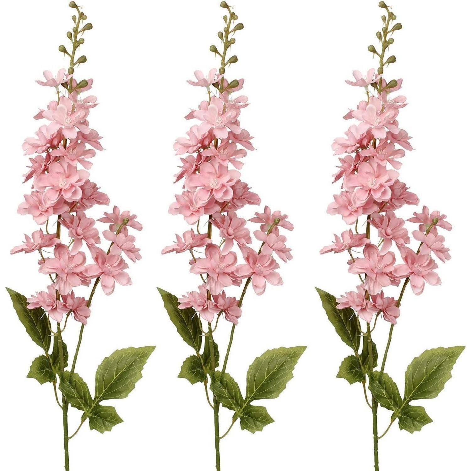 Drei rosa Lerchensporblüten mit grünen Blättern auf weißem Hintergrund, die ihre hohen Stängel und geschichteten Blütenblätter zur Schau stellen.