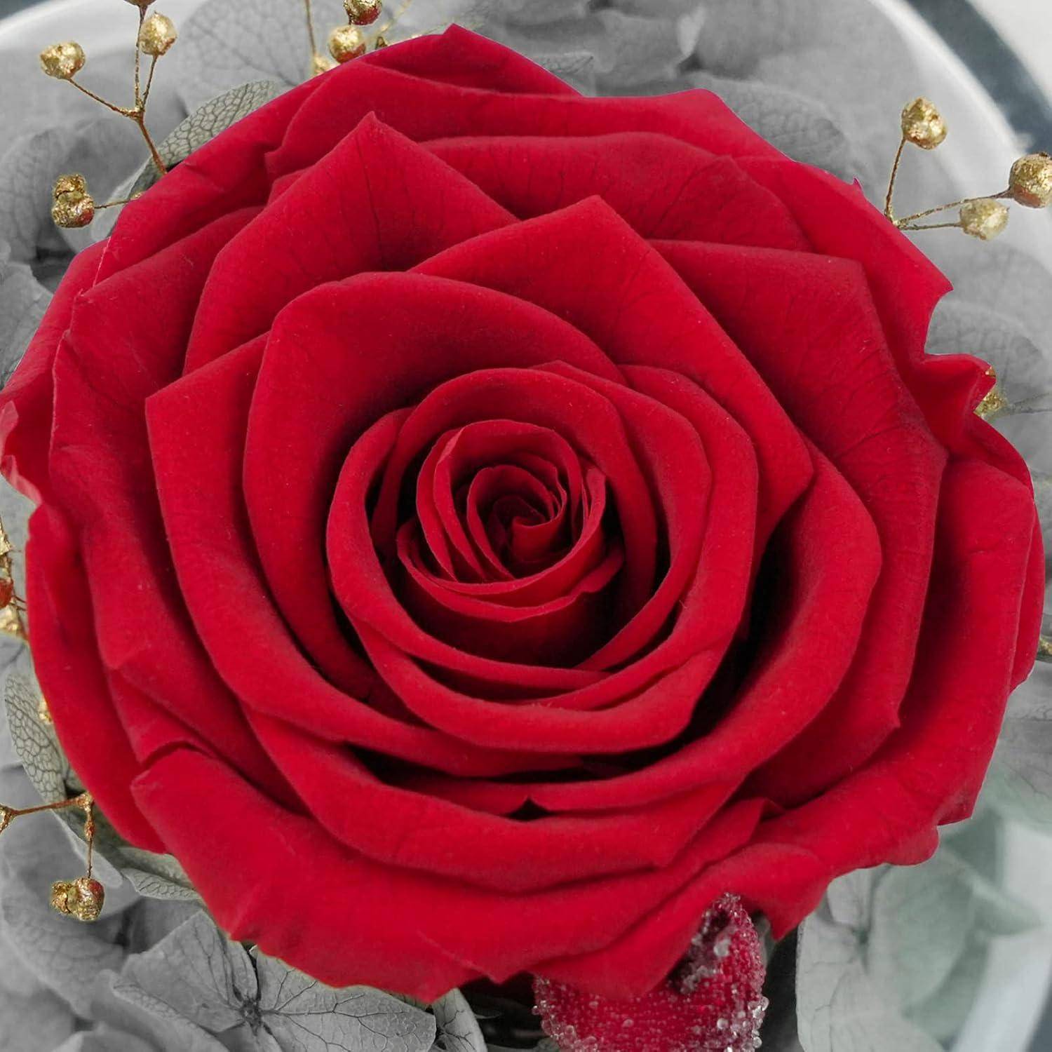 Eine leuchtend rote Rose mit kunstvollen Blütenblättern ist von grauen Blättern und kleinen goldenen Akzenten umgeben, die einen beeindruckenden Kontrast erzeugen.