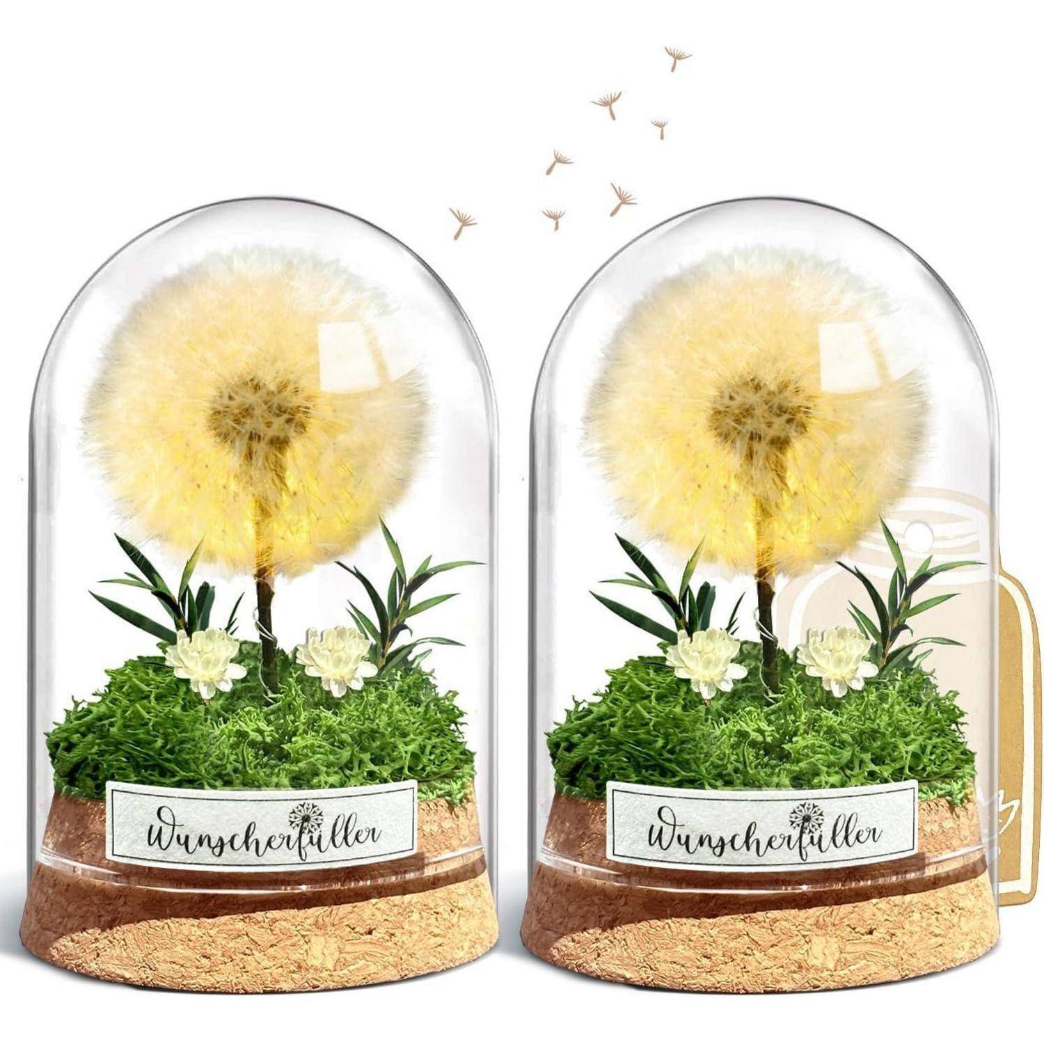 Wunscherfüller Pusteblume LED Glas Geburtstagsgeschenk 2 Stück
