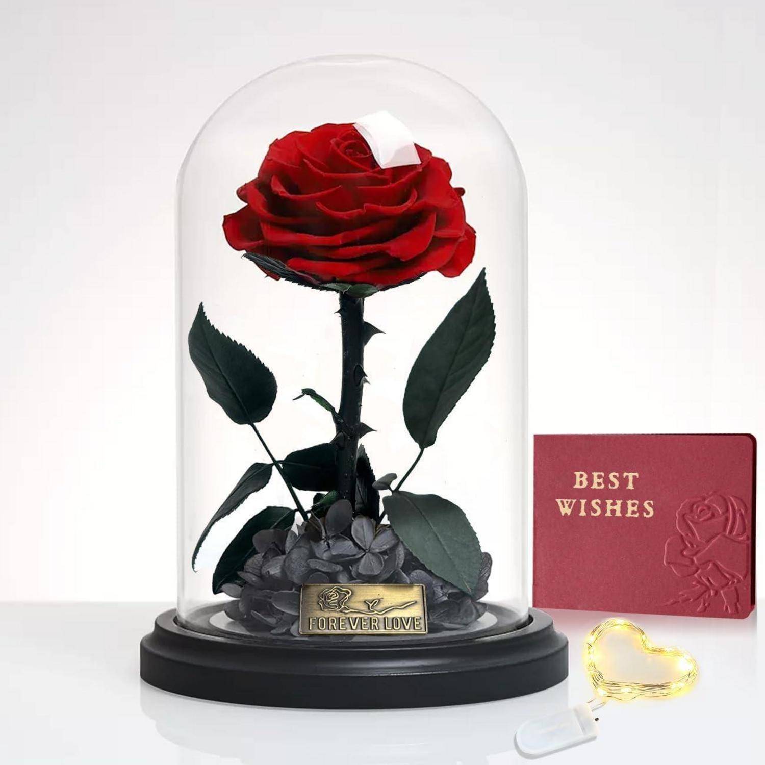 Eine rote Rose, die in einer Glaskuppel auf einer schwarzen Basis eingeschlossen ist, versehen mit einer Plakette mit der Aufschrift ‚Forever Love', begleitet von einer roten Karte mit dem Text ‚Best Wishes'.