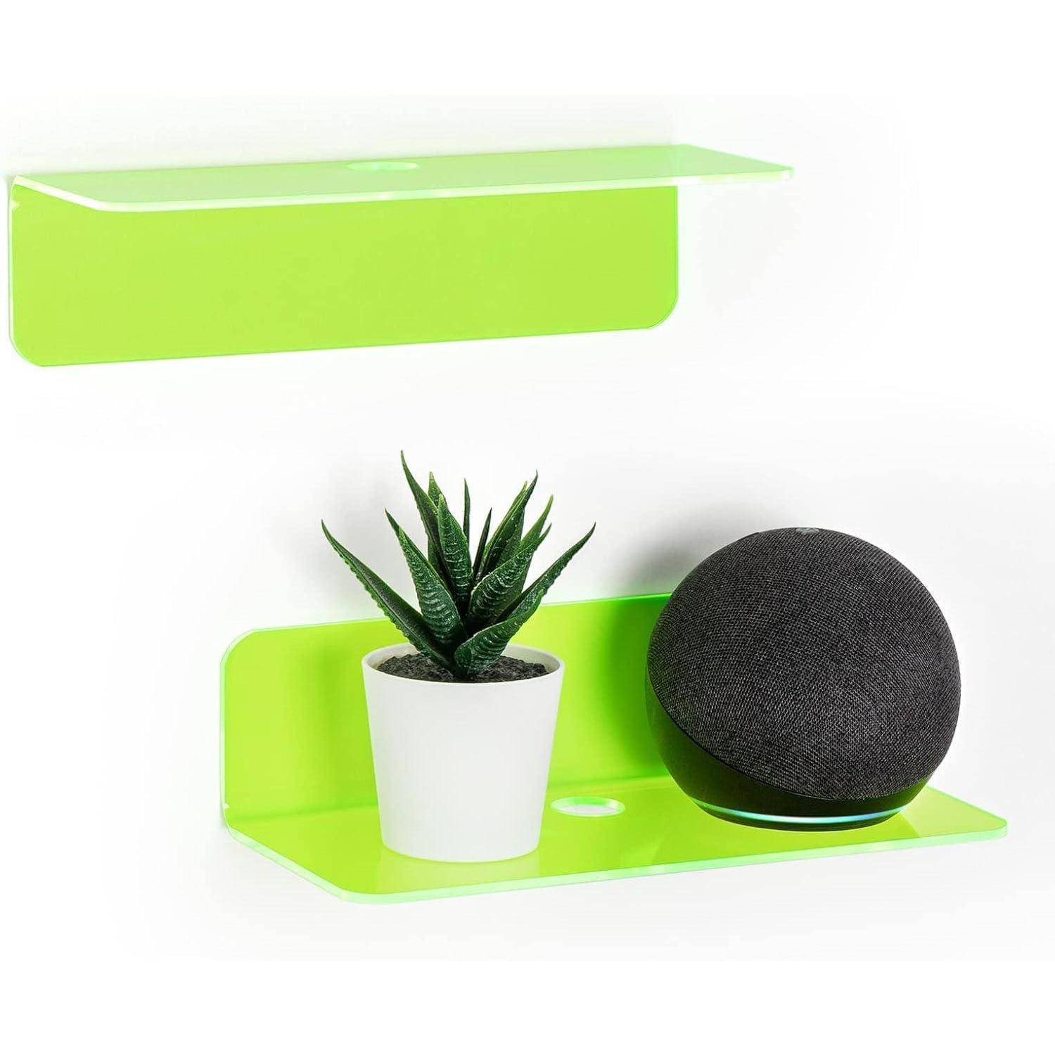 Ein hellgrünes Wandregal trägt eine kleine Topfpflanze mit einer Sukkulente und einen schwarzen Smart Speaker, mit einem passenden Regal darüber.