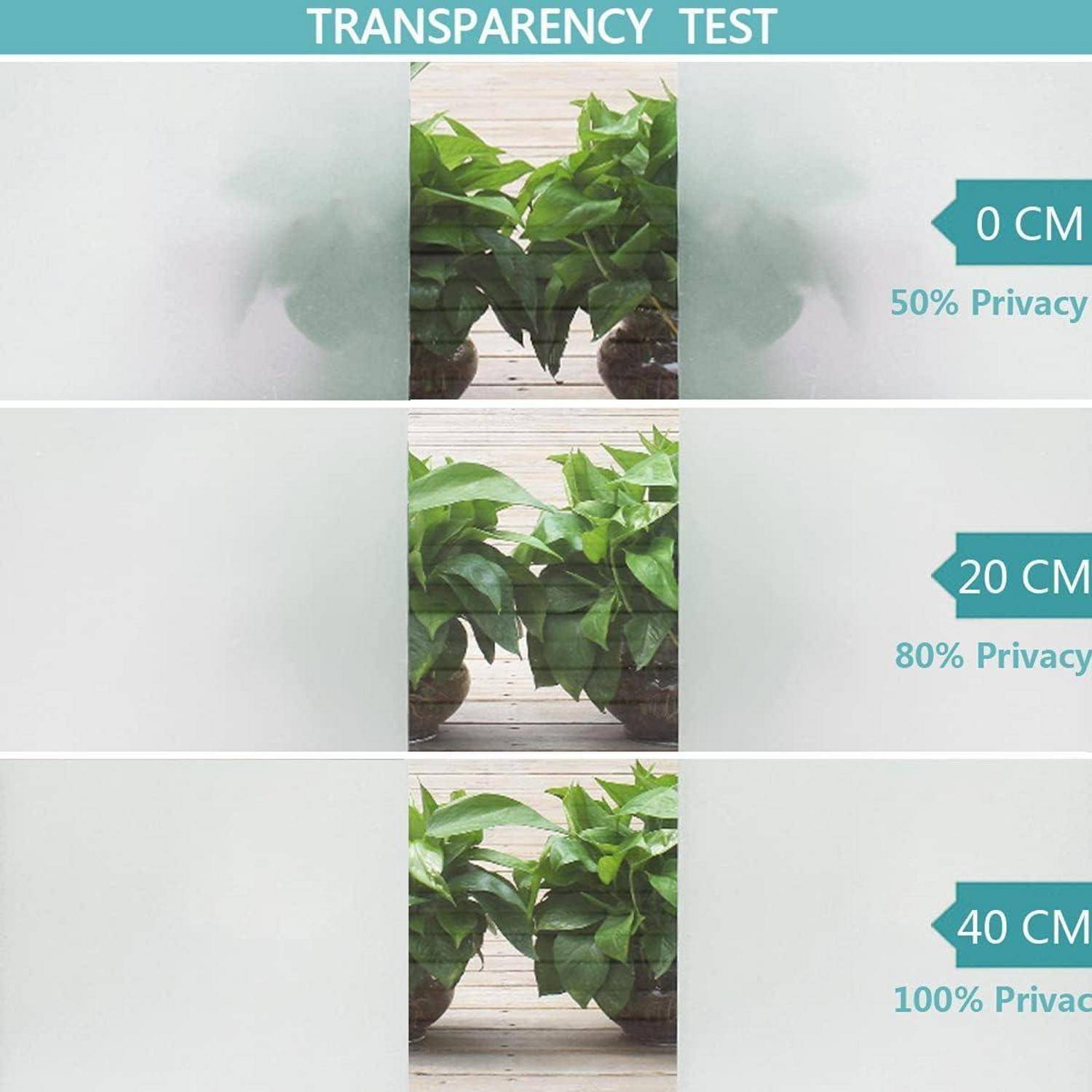 Transparenz-Test' Bild zeigt Pflanzen durch mattiertes Glas, vergleicht die Sichtbarkeit bei 0 cm (50%), 20 cm (80%) und 40 cm (100%).