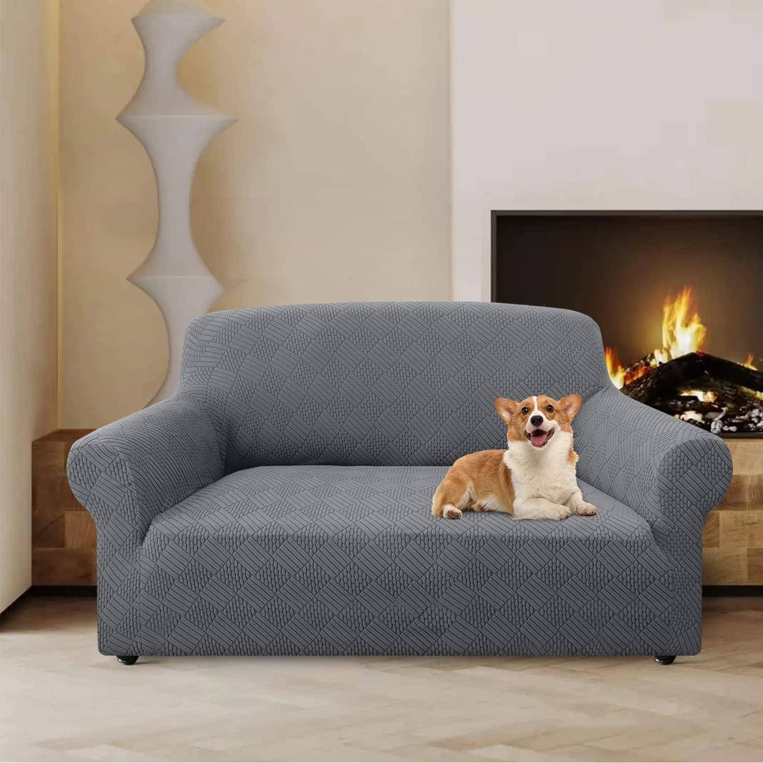 Ein kleiner Hund liegt zufrieden auf einem grauen Sofa in einem gemütlichen Wohnzimmer. Eine moderne Lampe und ein brennender Kamin verleihen der Szene Wärme und Behaglichkeit.