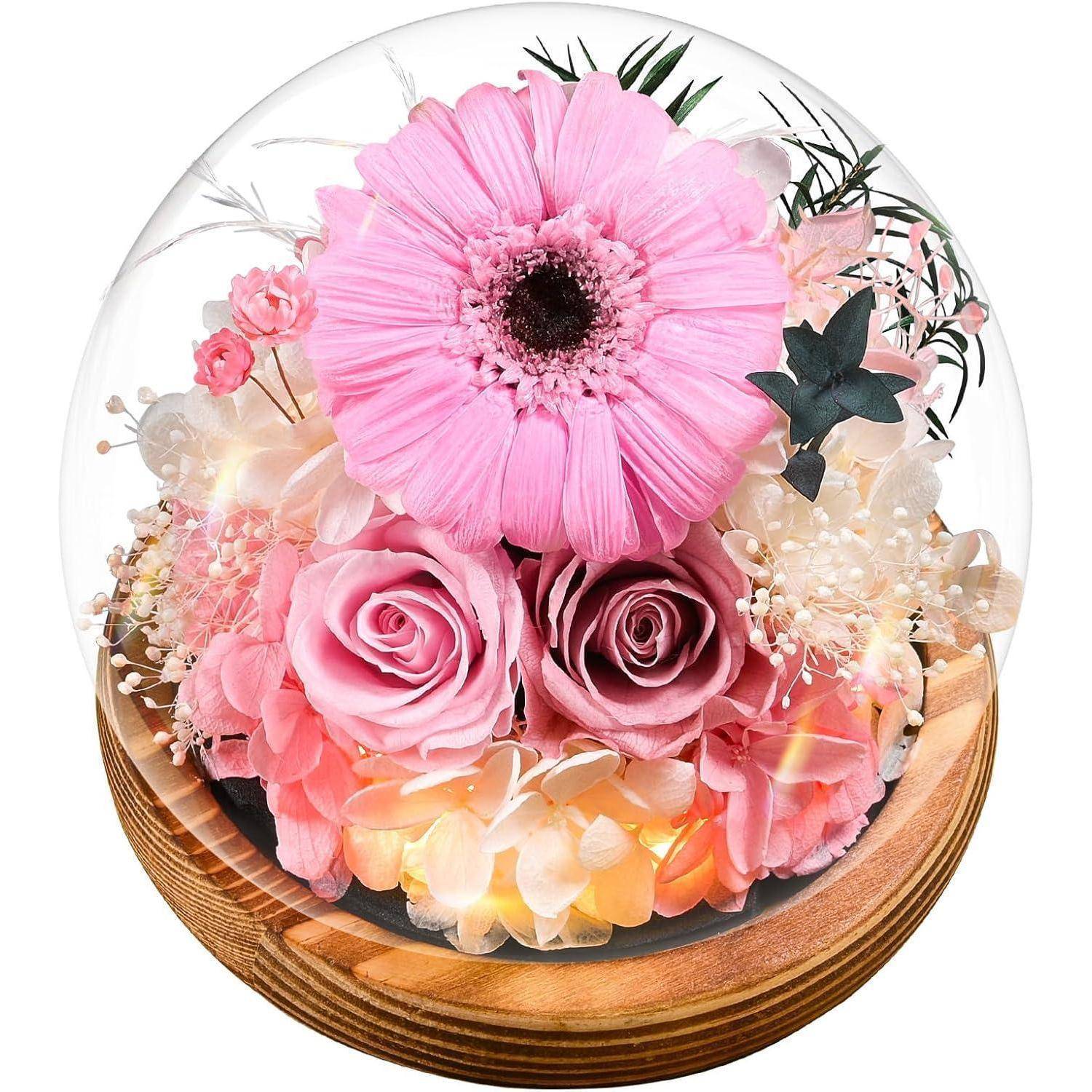 Konservierte Blumen Gerbera Rosen Glas Licht Geschenkbox Rund-hellrosa