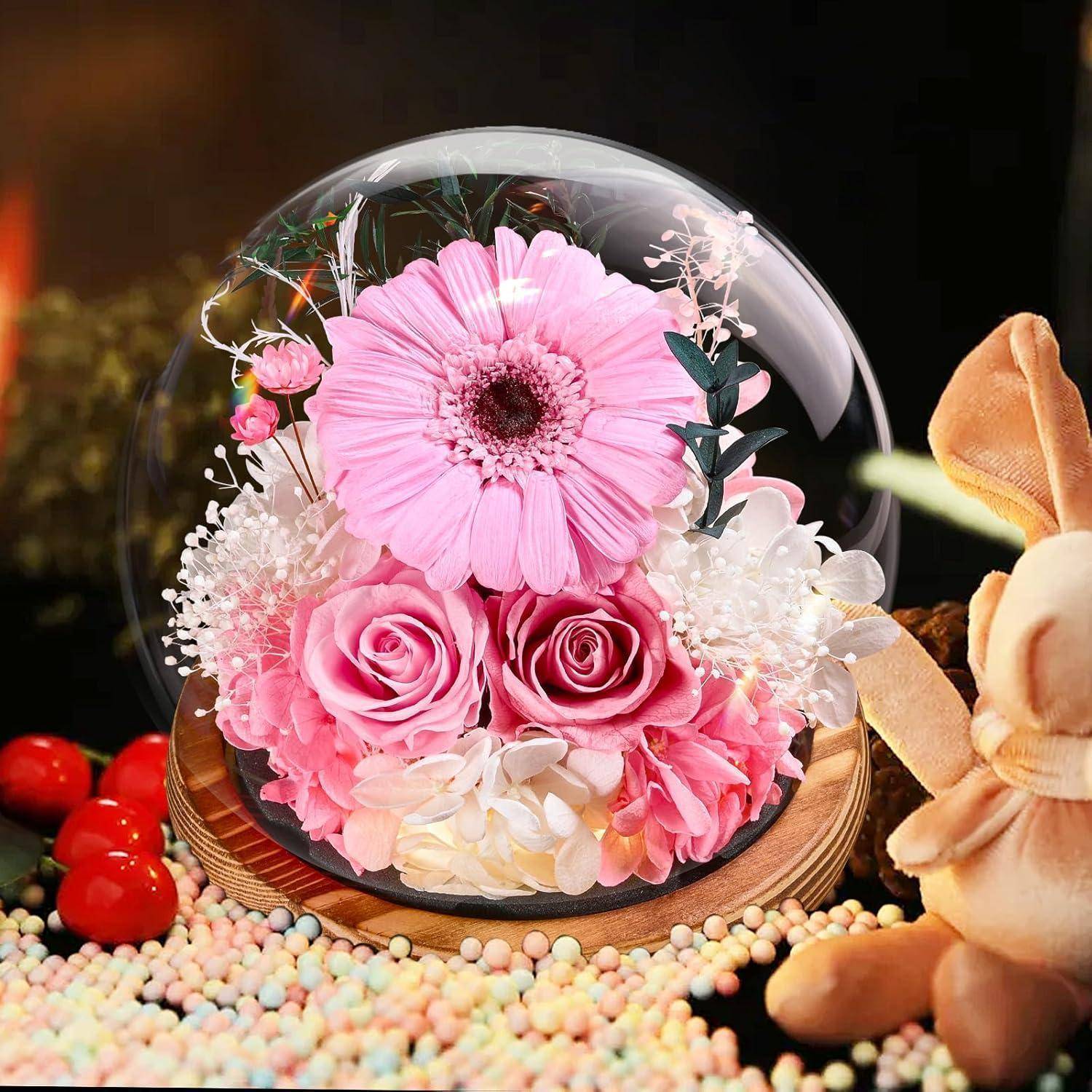 Konservierte Blumen Gerbera Rosen Glas Licht Geschenkbox Rund-hellrosa