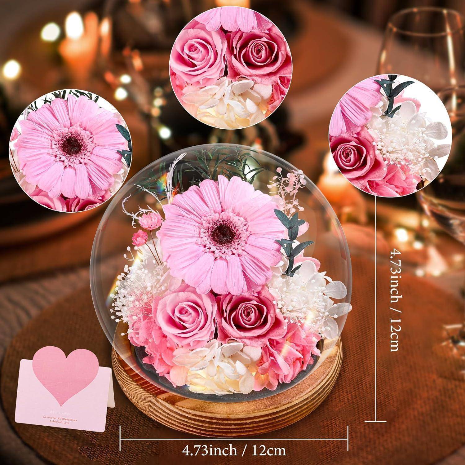 Konservierte Blumen Gerbera Rosen Glas Licht Geschenkbox Rund-hellrosa