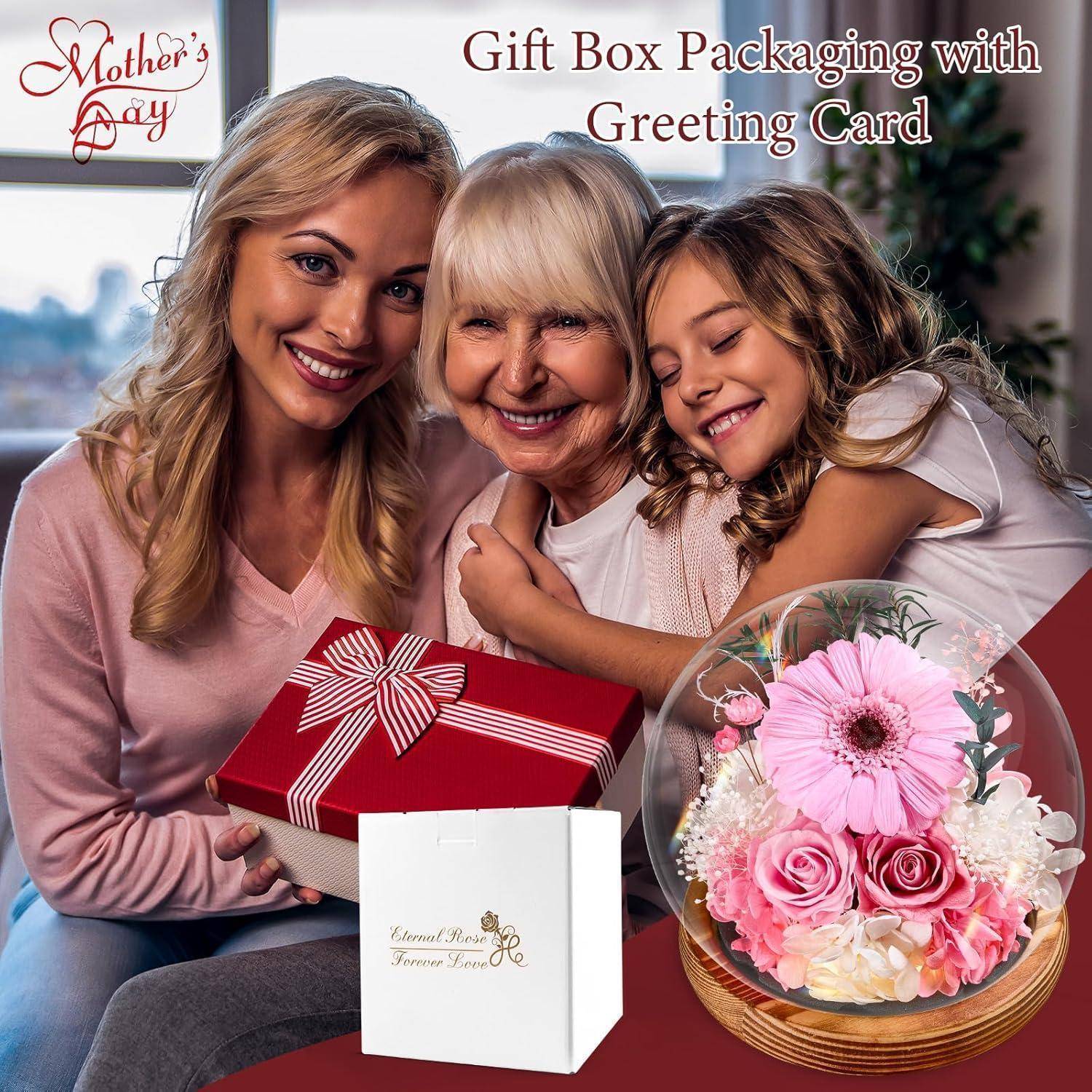 Konservierte Blumen Gerbera Rosen Glas Licht Geschenkbox Rund-hellrosa