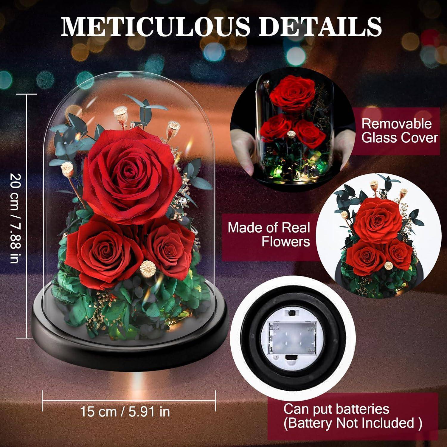 Eine Glaskuppel umschließt zwei rote Rosen mit grünen Blättern und kleinen Lichtern und hebt dabei 'Akribische Details' hervor. Zu den Merkmalen gehören ein abnehmbarer Deckel und ein Batteriefach.