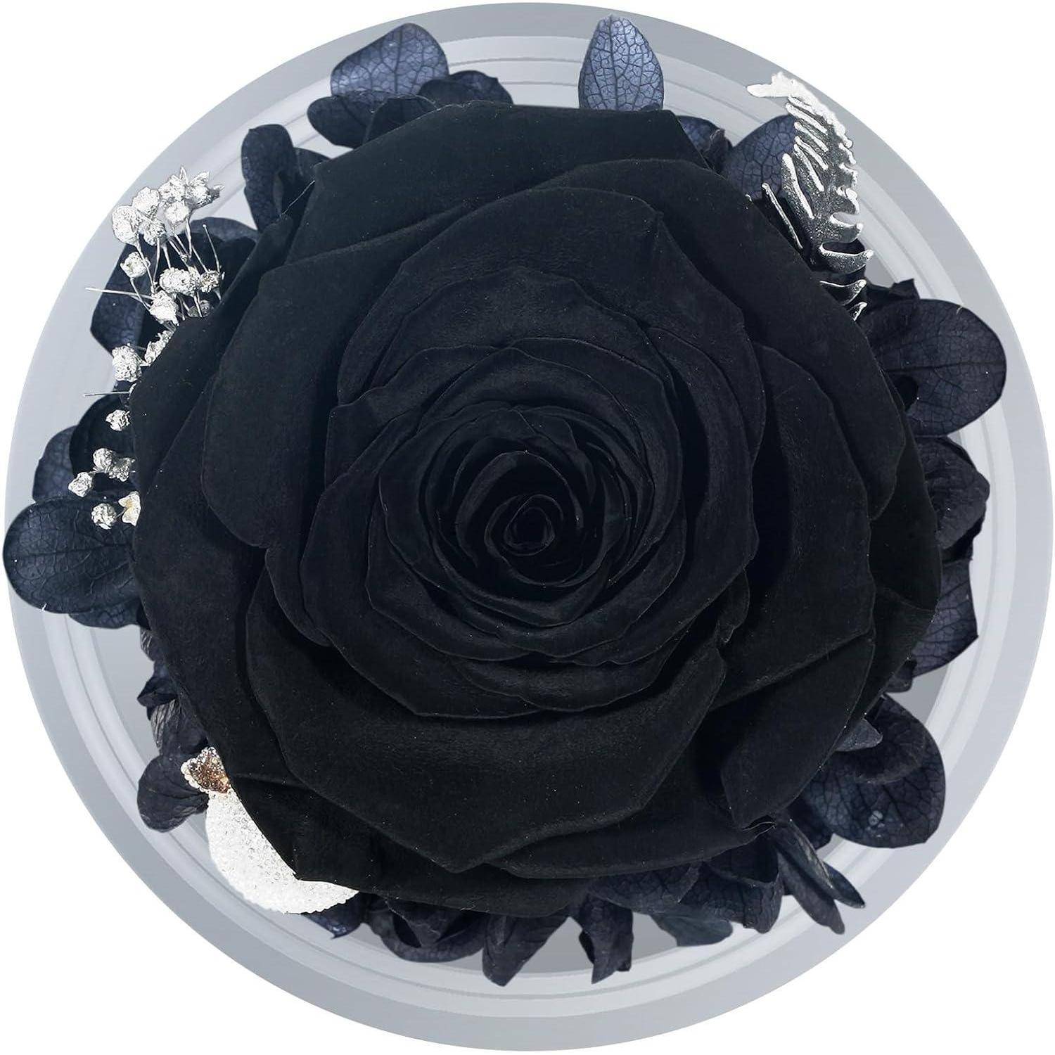 Eine schwarze Rose, umgeben von kleineren Blättern und dekorativen Elementen, in einem kreisförmigen Muster auf einem grauen Hintergrund angeordnet.