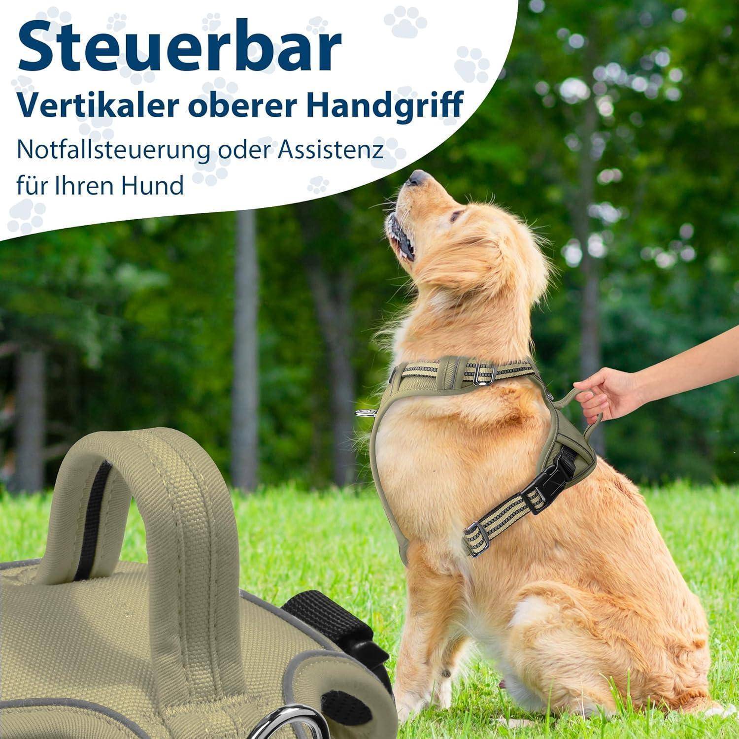 Ein Hund mit Geschirr sitzt auf Gras und blickt nach oben. Der Text lautet 