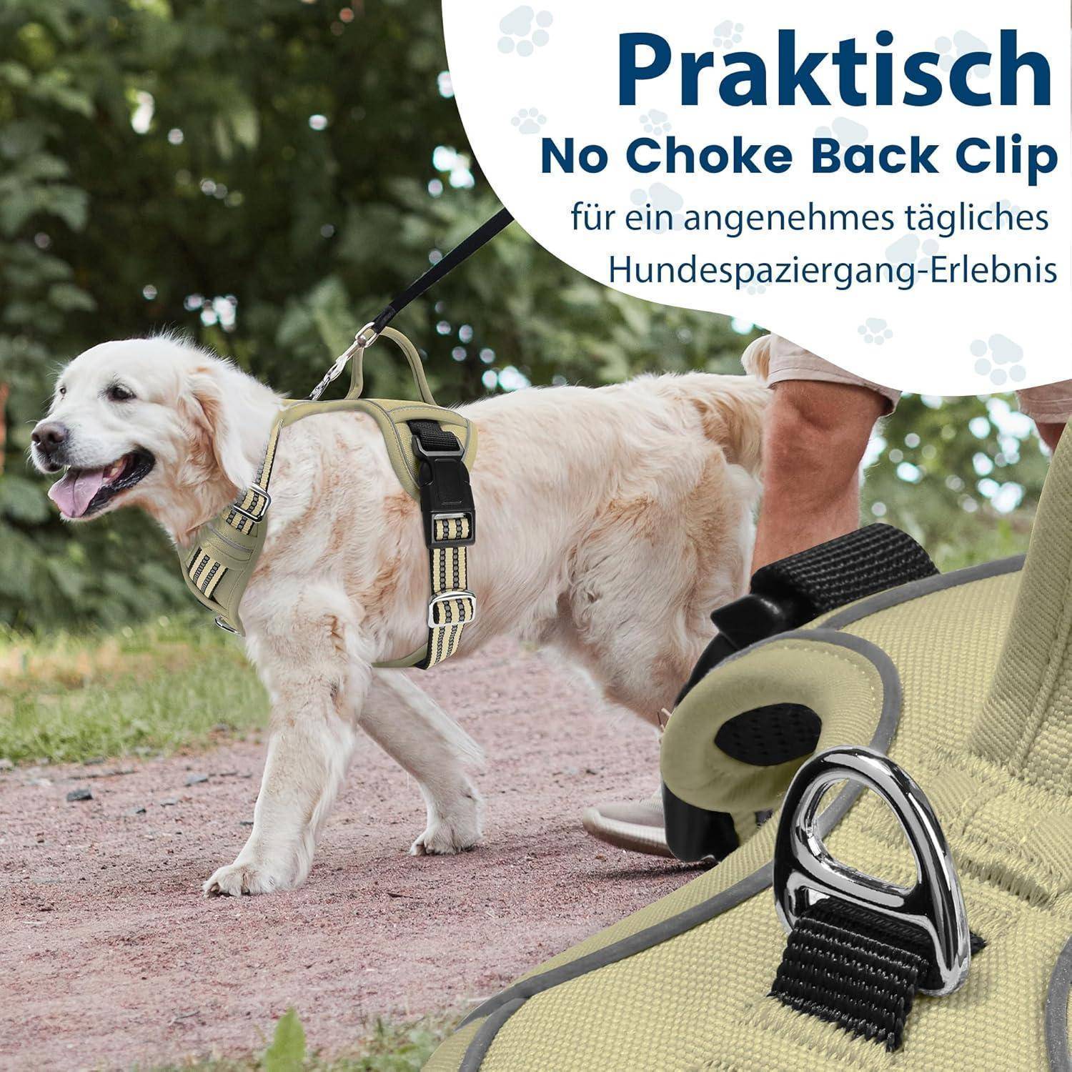 Ein Hund läuft an einer Leine mit einem Geschirr, das mit 