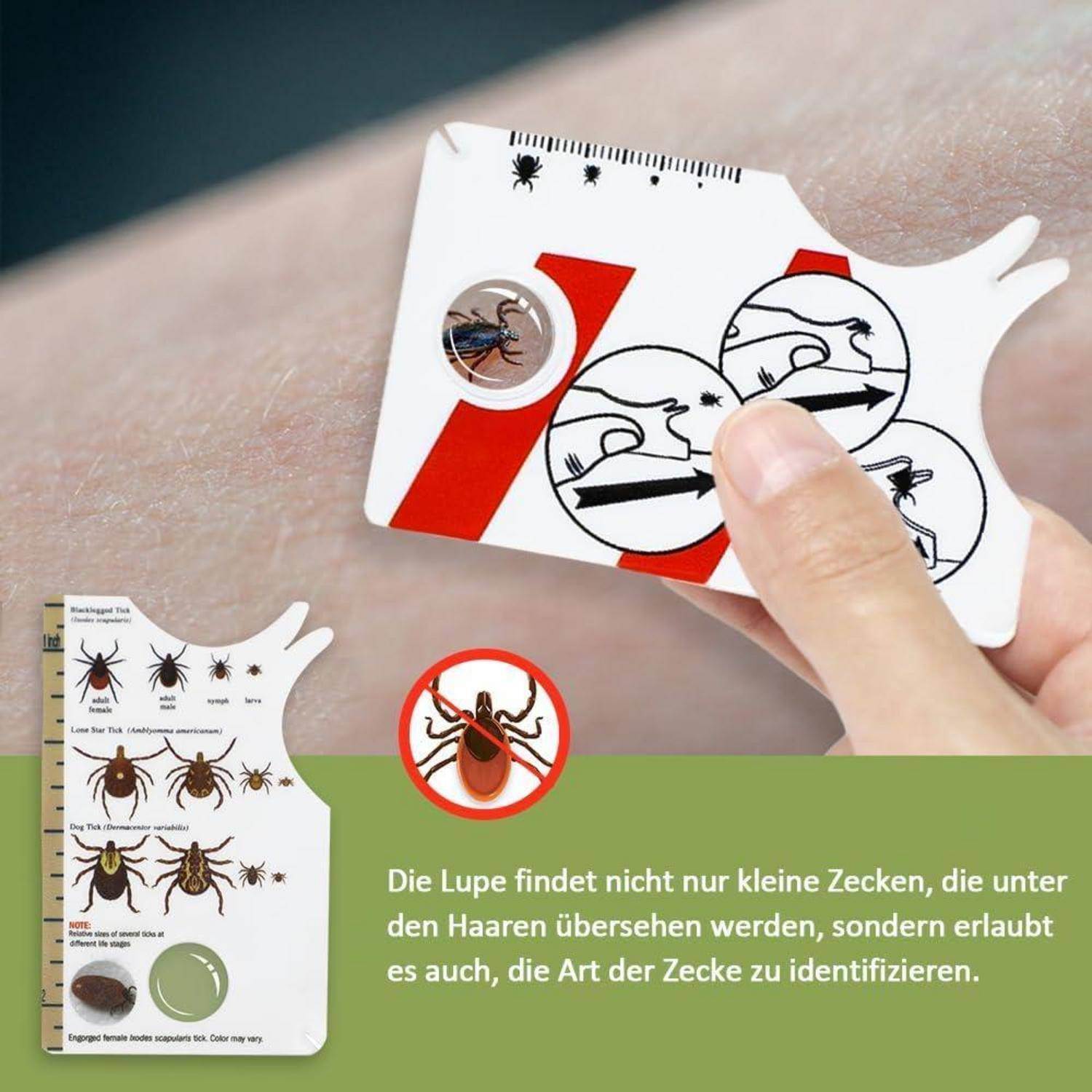 Eine Hand hält eine Zeckenidentifikationskarte mit einer Lupe über der Haut. Die Karte zeigt Zeckenbilder und deutschen Text zur Zeckenidentifikation.