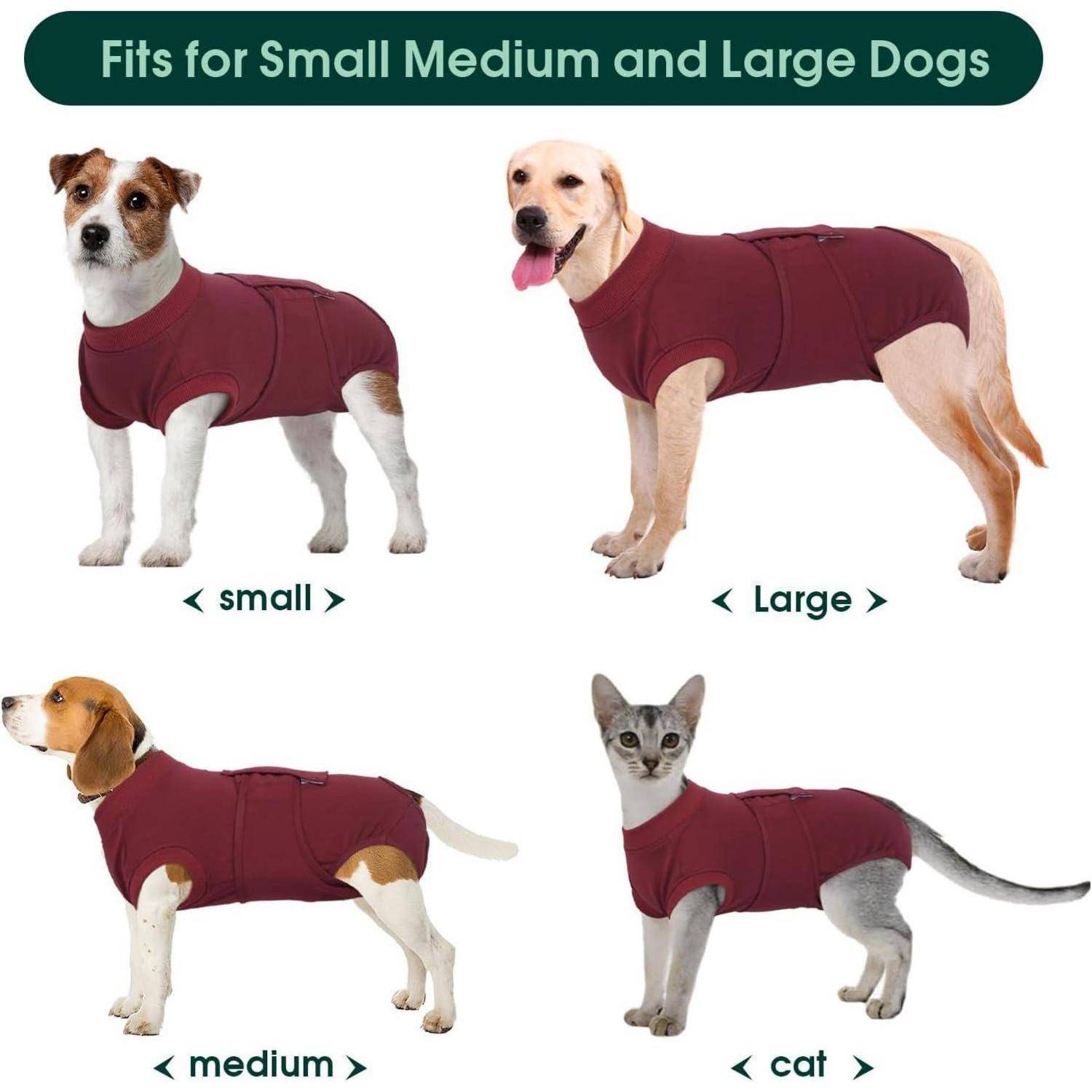 Hunde- und Katzenkleidungsübersicht: Kleine, mittlere, große Hunde und Katze, jeweils in roter Kleidung. Titel lautet: 