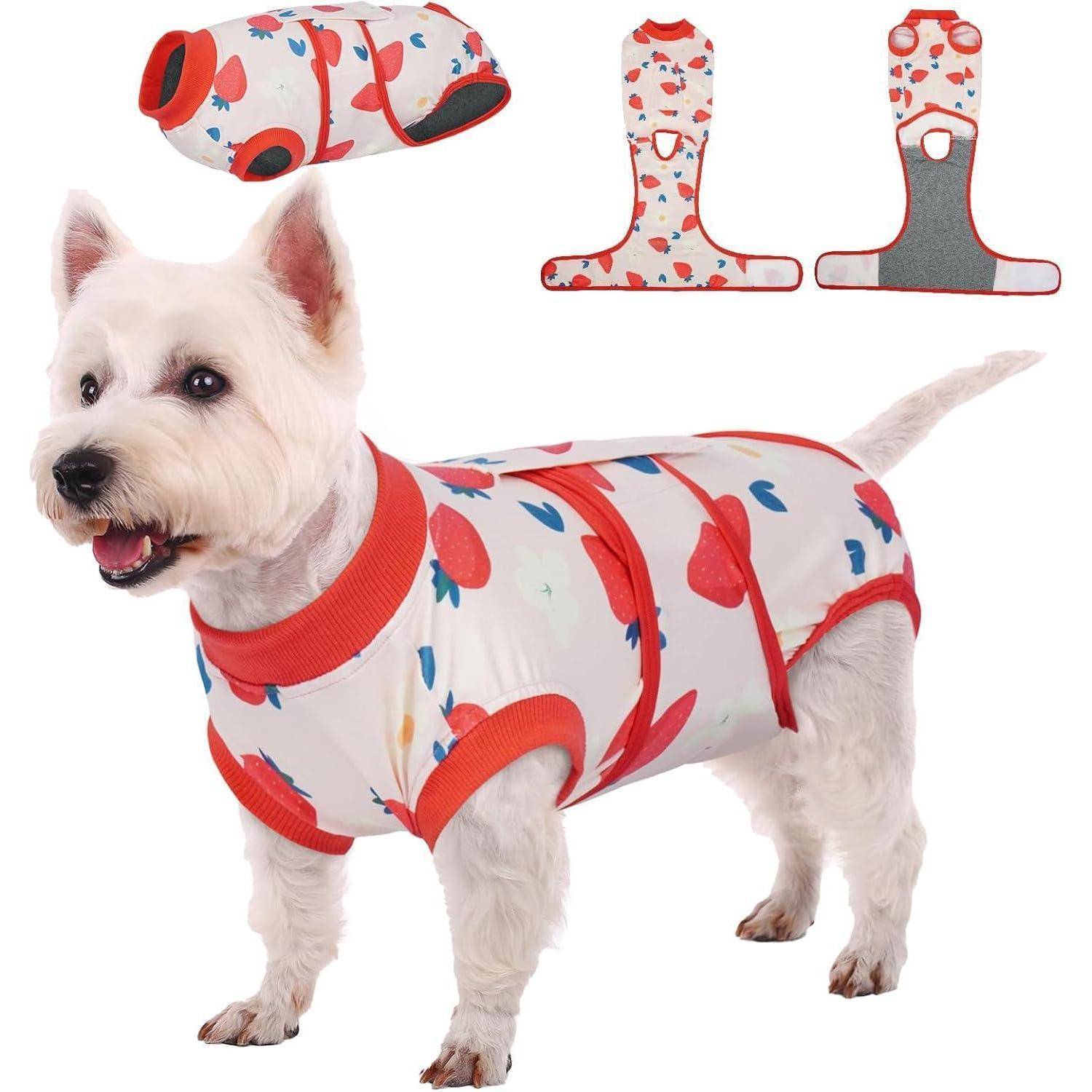 Kleiner Hund, der eine bunte, gemusterte Jacke mit roten Einfassungen trägt, flankiert von zwei ähnlichen Jackenmodellen, die oberhalb davon auf weißem Hintergrund platziert sind.