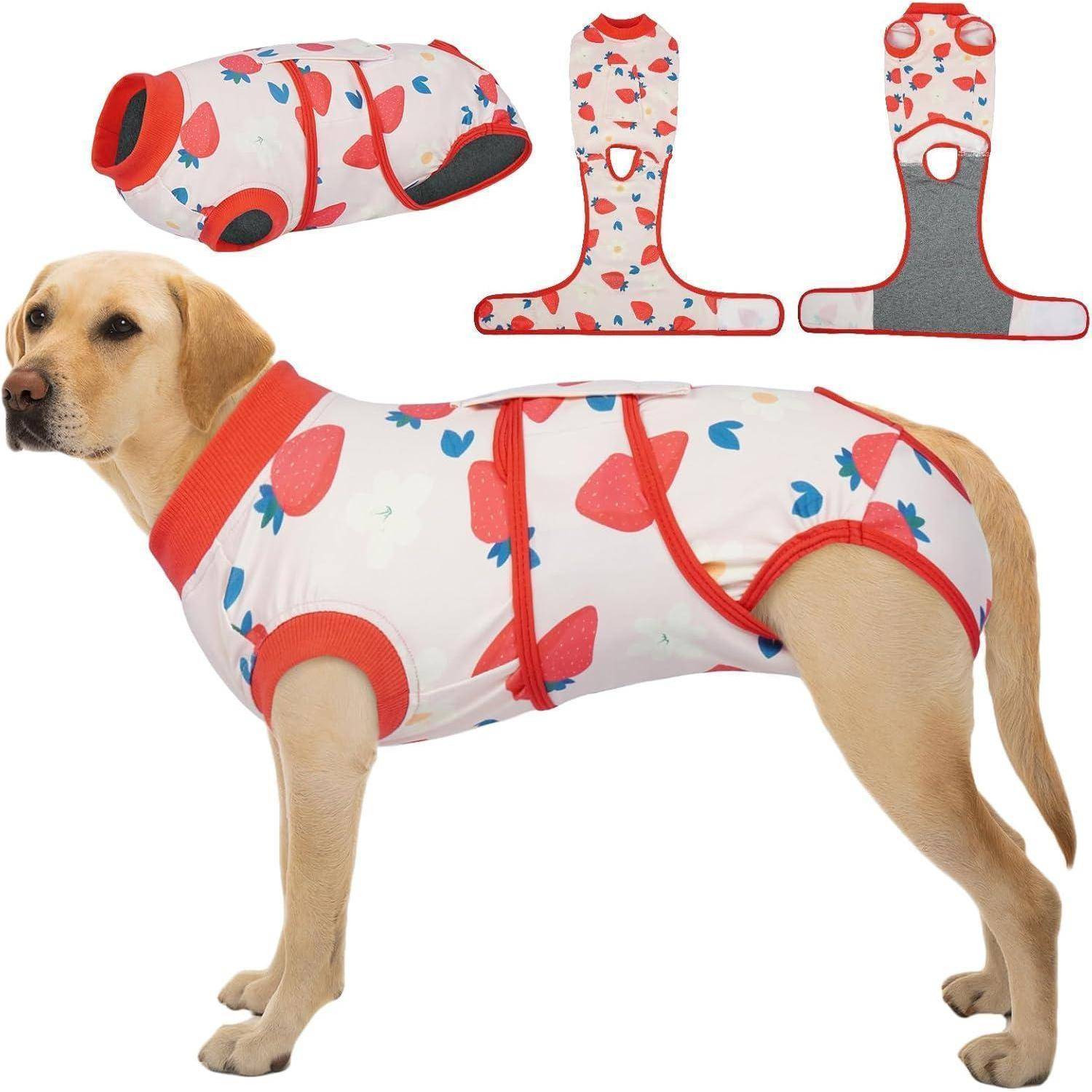 Ein Hund trägt einen weißen Genesungsanzug mit roten und blauen Mustern. Zusätzliche Bilder zeigen das Design und die Eigenschaften des Anzugs.