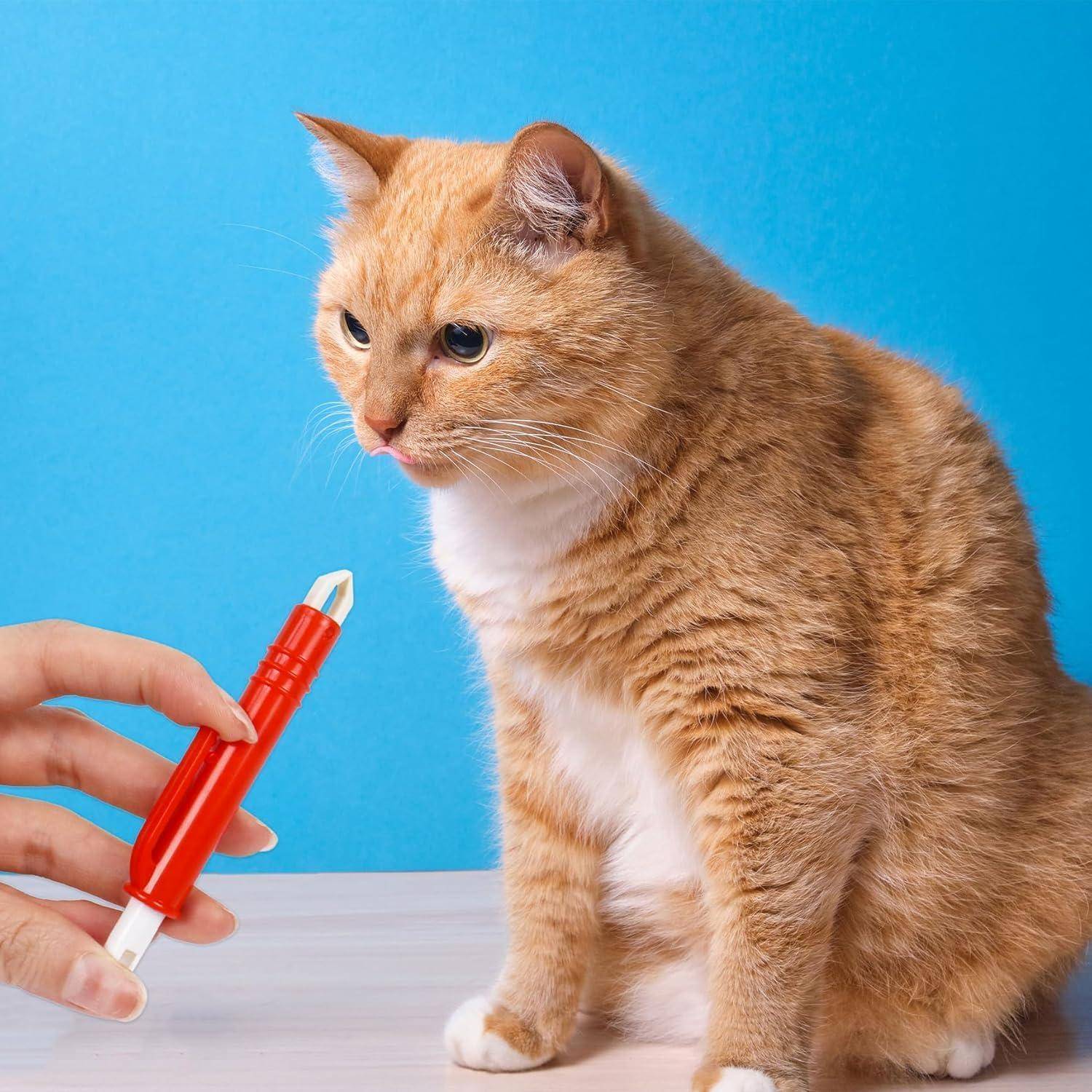 Eine orange getigerte Katze blickt neugierig auf einen roten Marker, den eine menschliche Hand vor einem blauen Hintergrund hält.