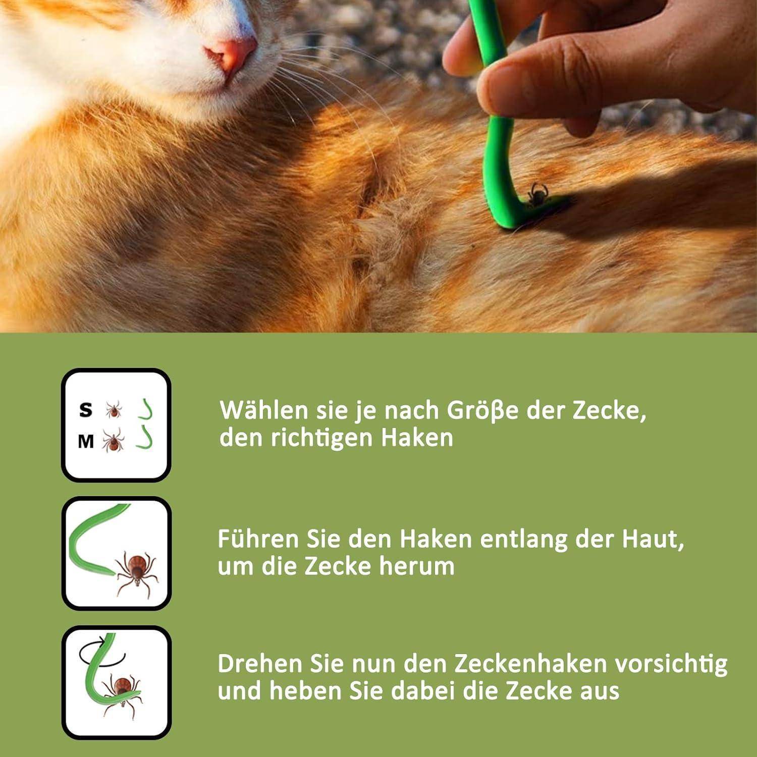 Zeckenzange Hund Katze 5er Set Zeckenhaken Grün Blau mit Edelstahl