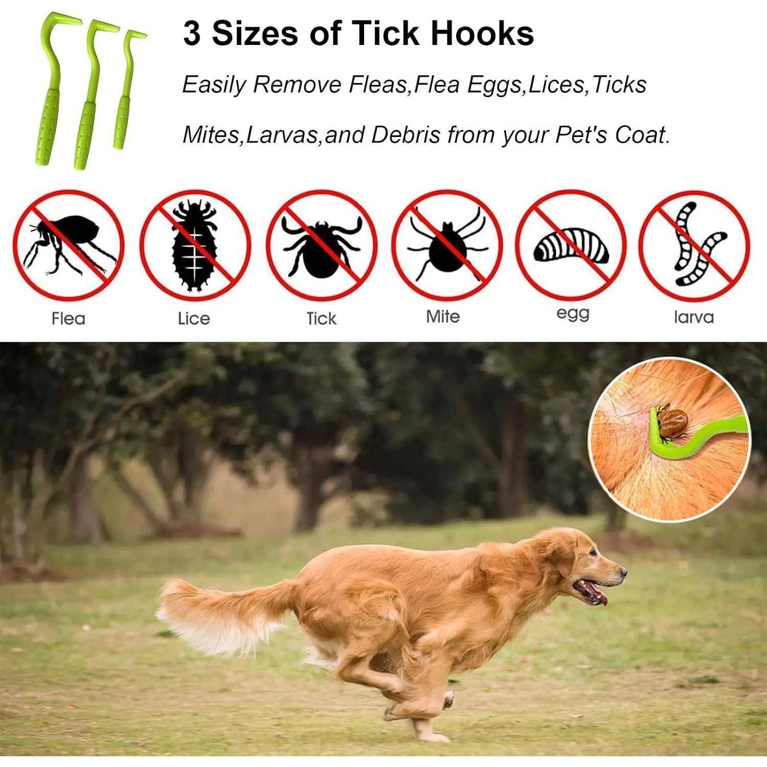 Zeckenhaken 3 Größen Set Zeckenzange Hund Katze Mensch Grün