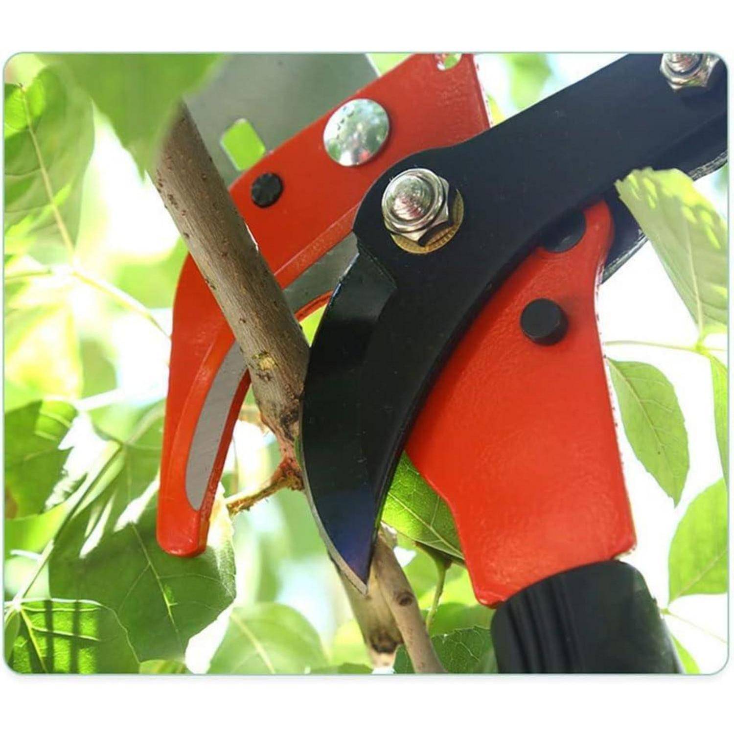 Gartenscheren, die einen Ast zwischen grünen Blättern durchschneiden und dabei ihre scharfen Klingen und robuste Konstruktion hervorheben.
