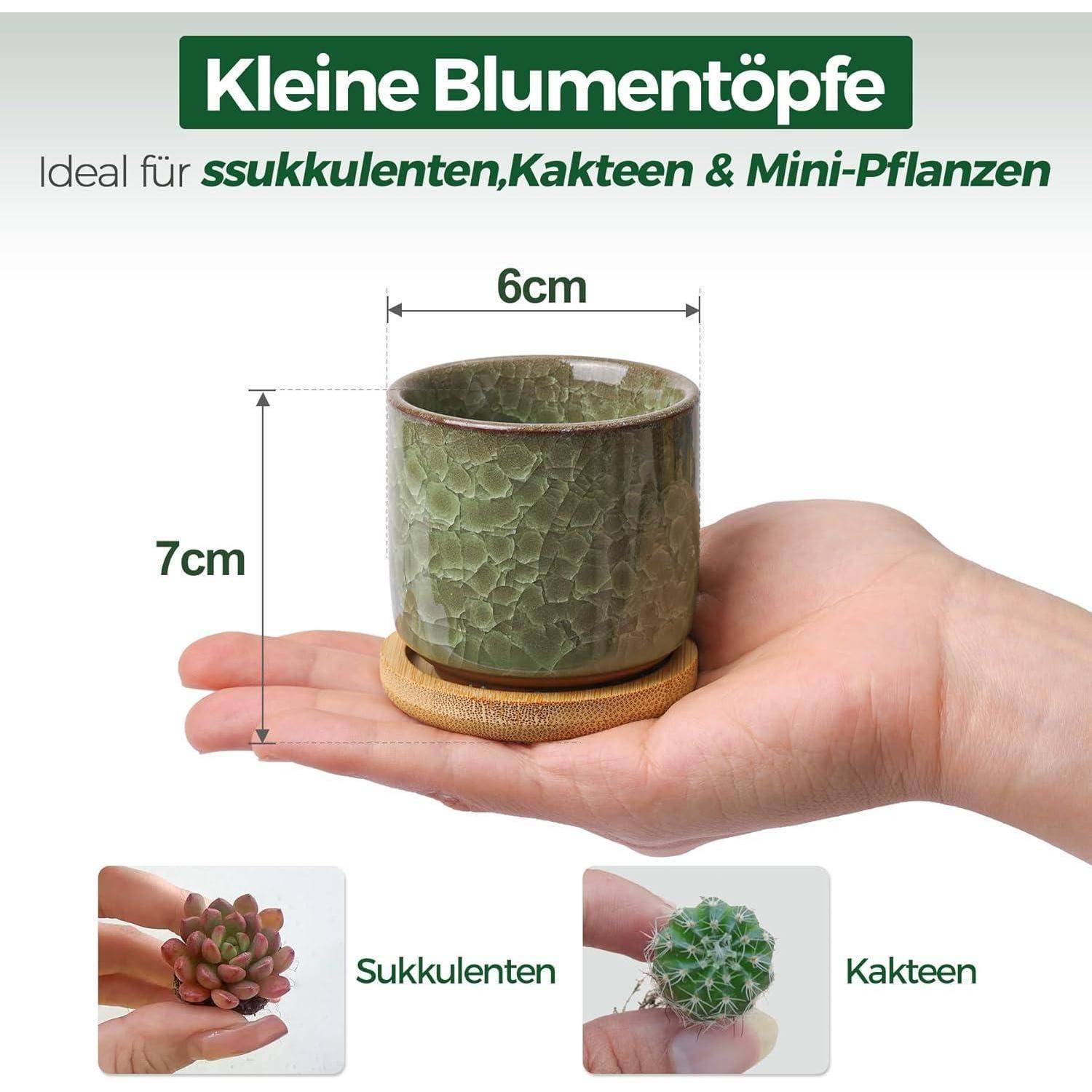Eine Hand hält einen grünen Blumentopf mit 6 cm Breite und 7 cm Höhe auf einer Holzunterlage. Der Text lautet: 'Kleine Blumentöpfe, Ideal für Sukkulenten, Kakteen & Mini-Pflanzen.' Kleinere Bilder zeigen Sukkulenten und Kakteen.